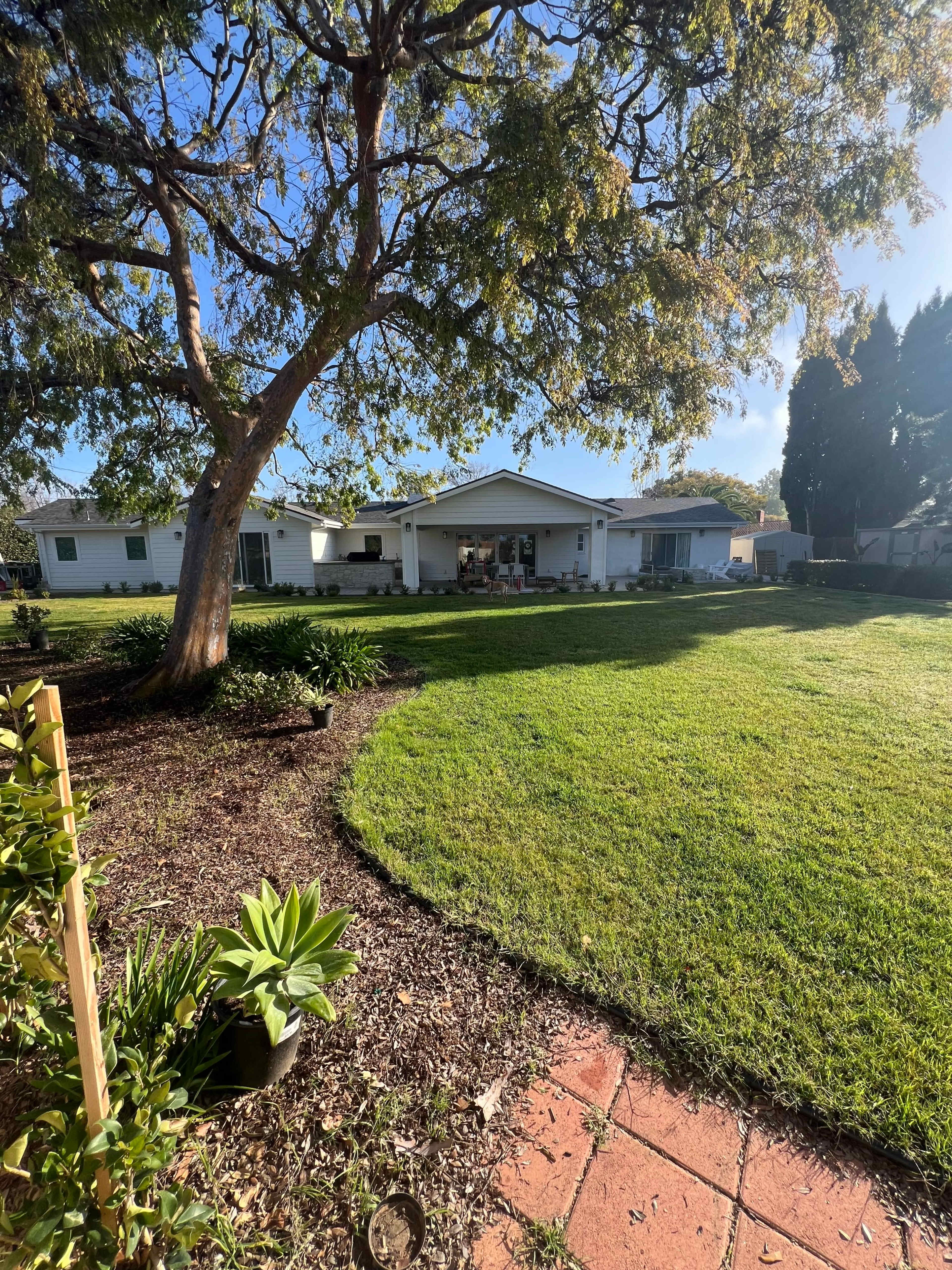 Stunning mid-century modern backyard oasis nestled in the heart of North Tustin, California. Image in North Tustin, North Tustin, CA