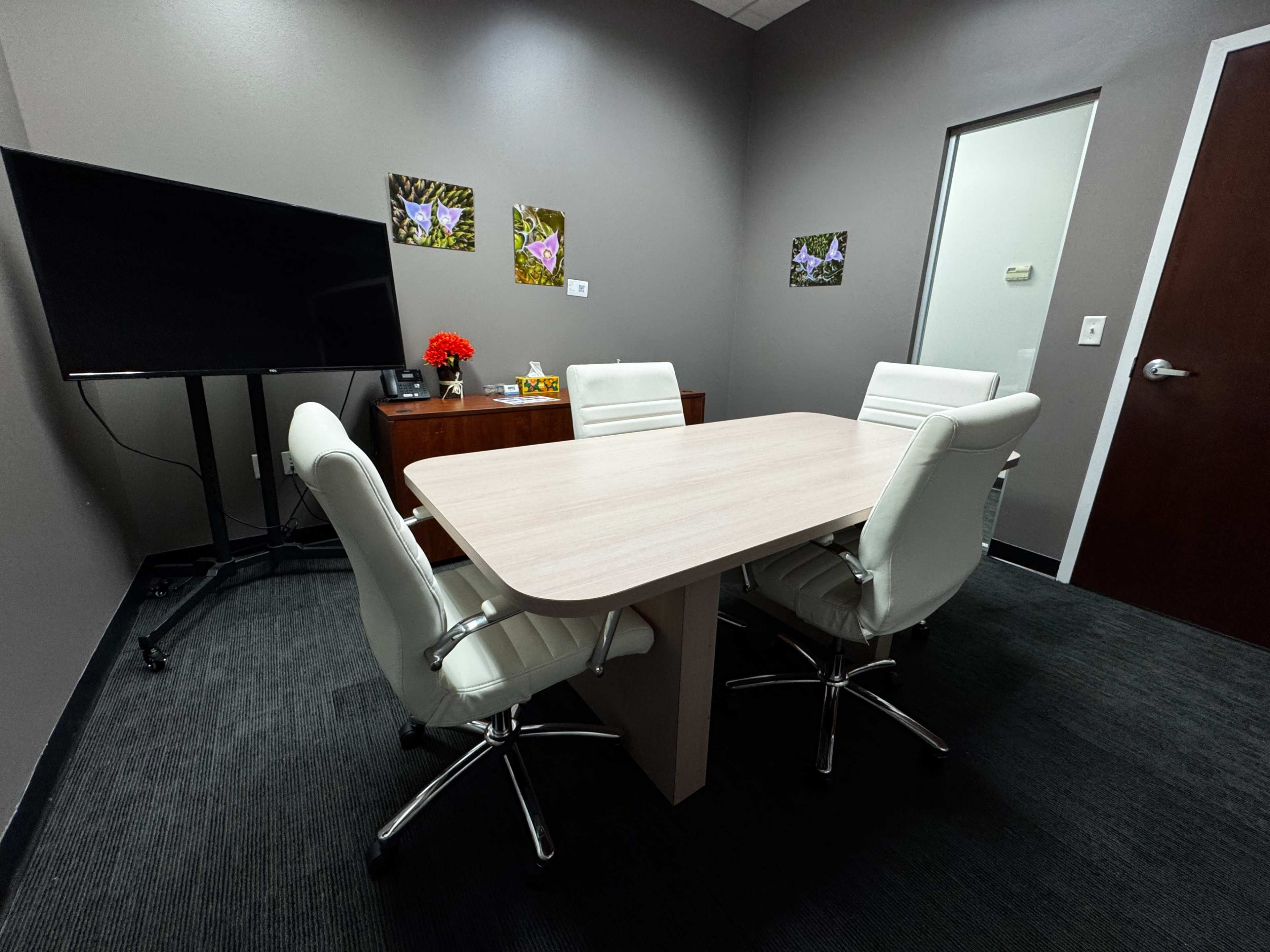Private Meeting Room in North St. Pete | TV & Reception Image in Barcley Estates, St. Petersburg, FL
