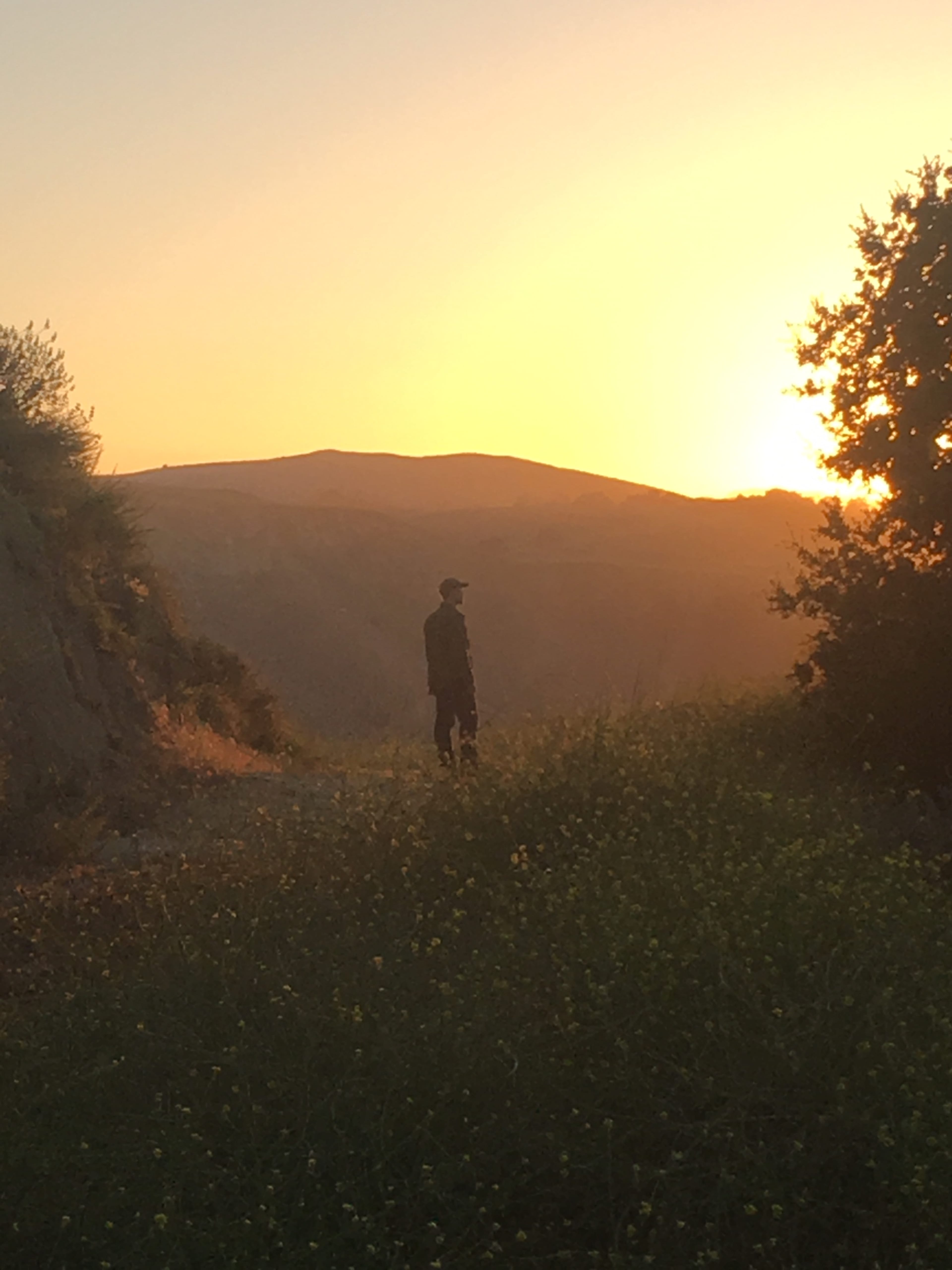 A person stands on a hillside at sunset, silhouetted against the glowing horizon.