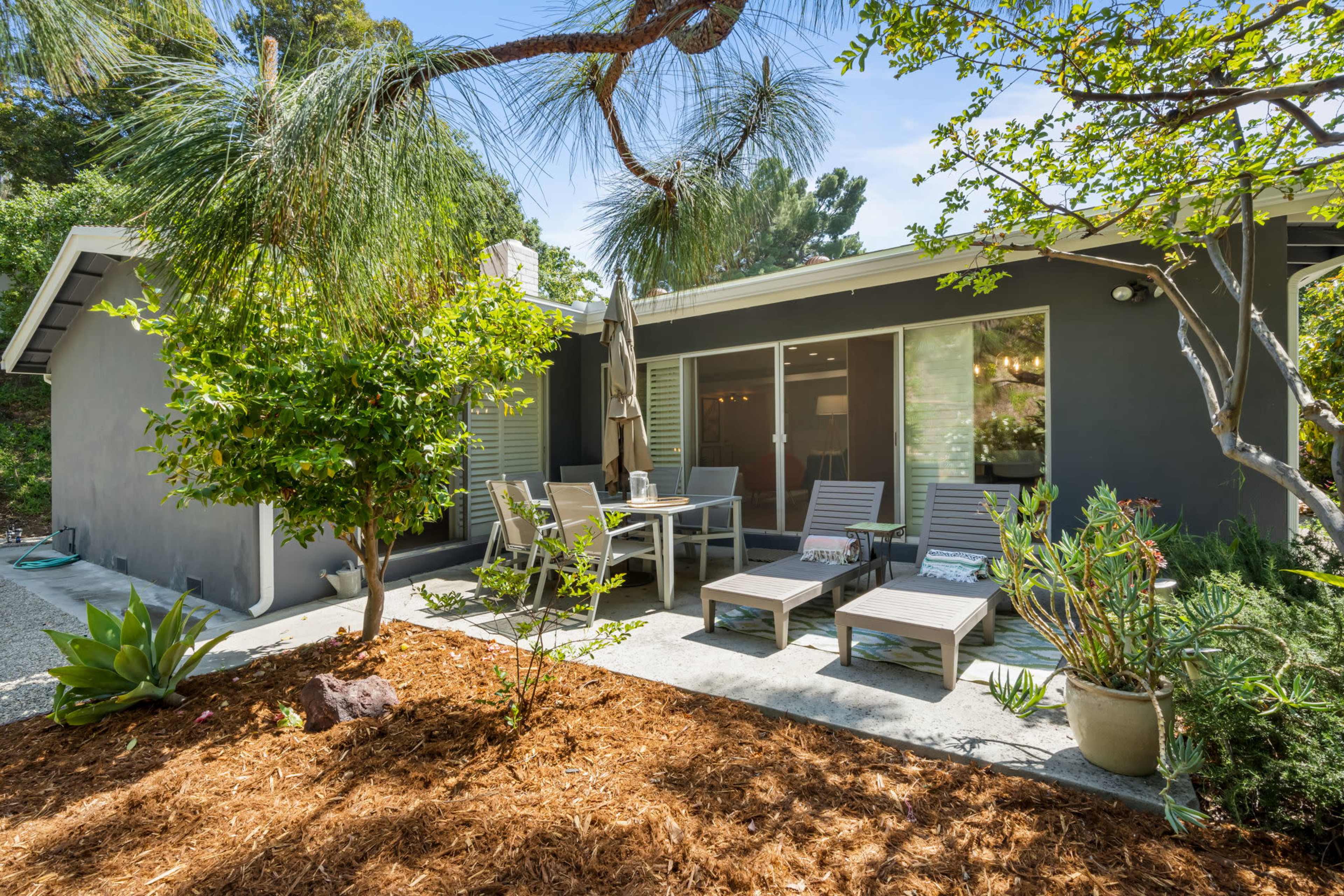 A modern patio area with lounge chairs and a dining table surrounded by greenery and decorative plants.