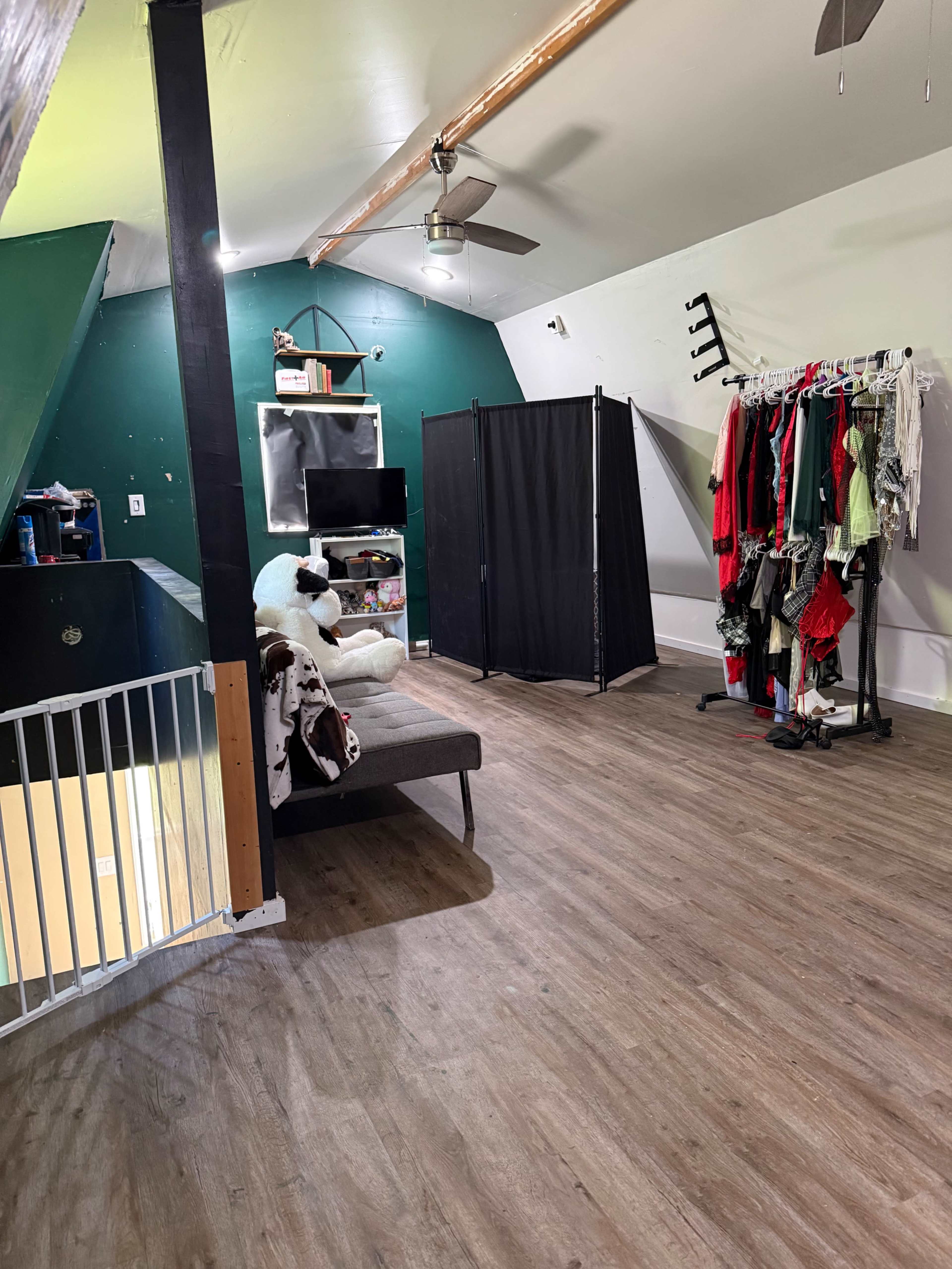 The image shows a spacious room with green walls, a television mounted on one side, a clothing rack filled with garments, and a large stuffed animal on a sofa.