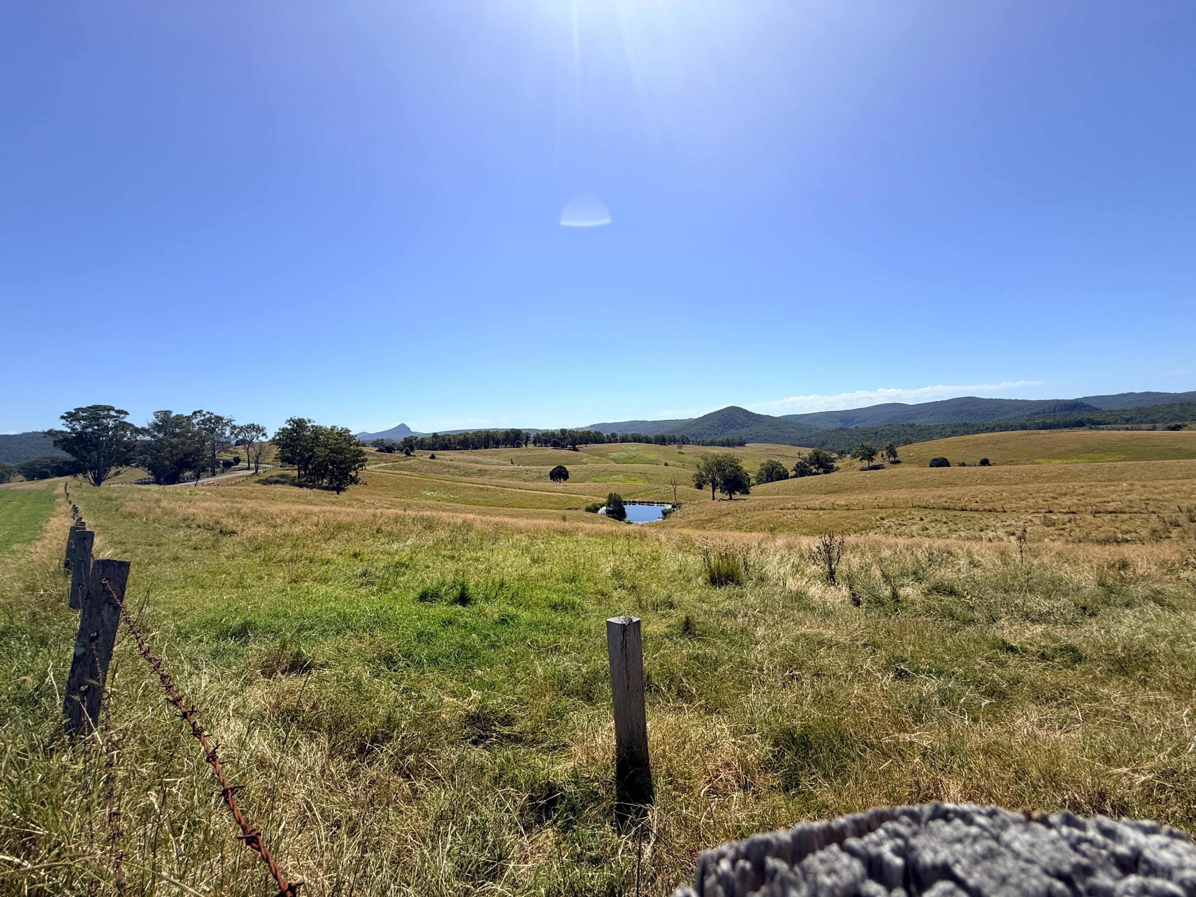 The image shows a wide landscape with grassy fields, a small pond, and mountains in the distance under a clear blue sky.