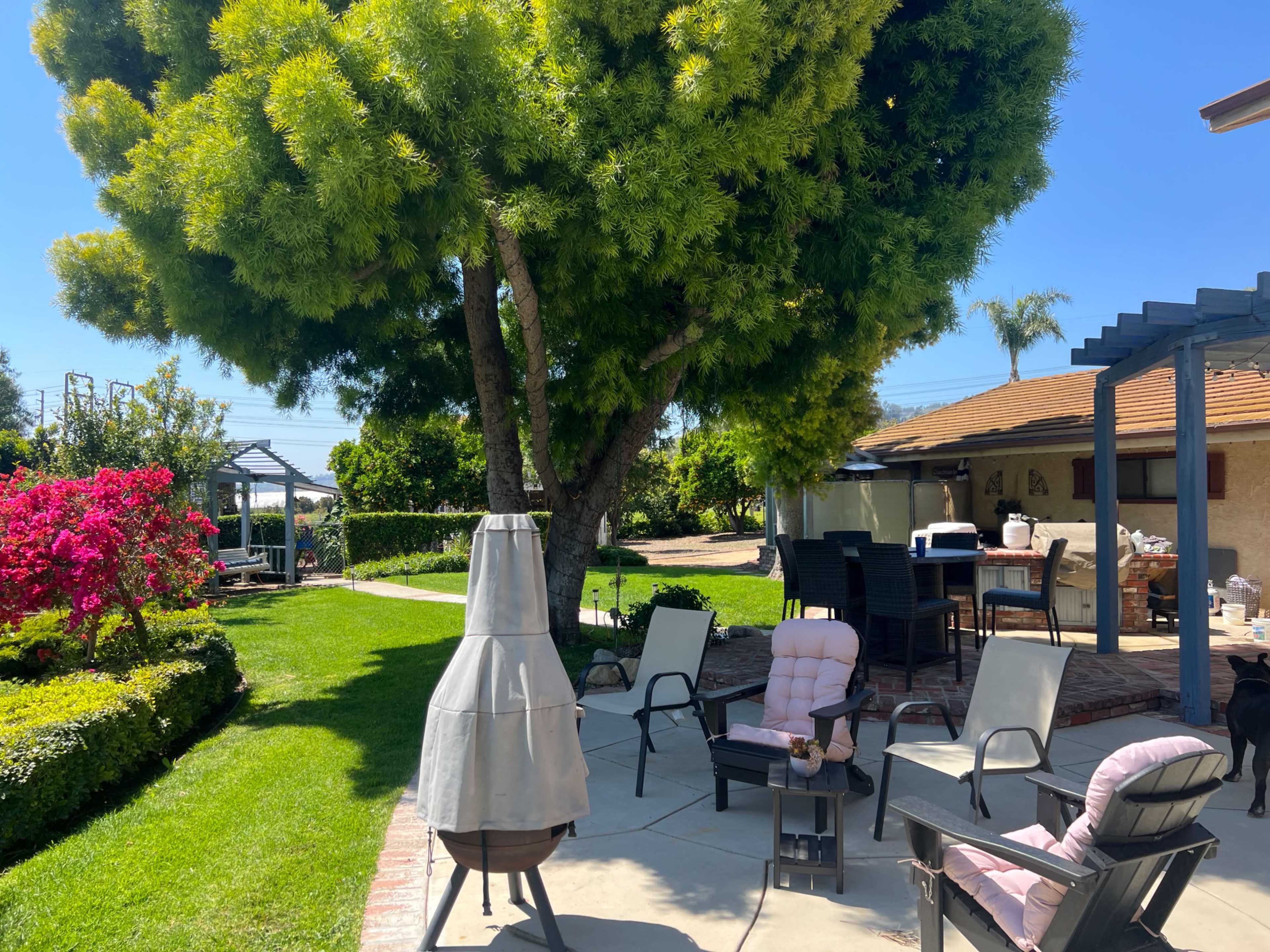 A patio area features various seating arrangements, a tall tree, and blooming pink flowers in a well-maintained garden.