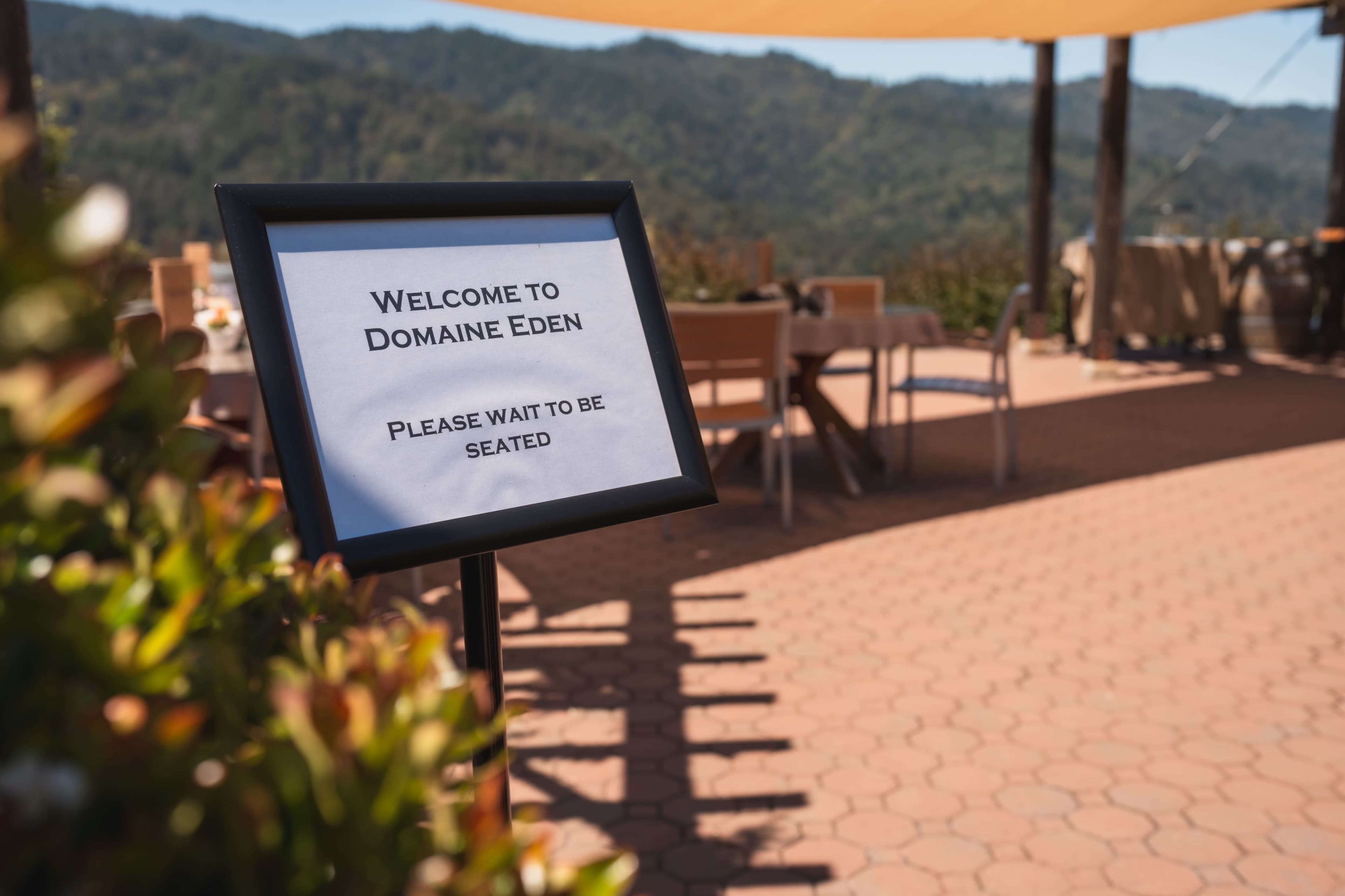 Elegant Vineyard Venue in Saratoga – Ideal for Tastings & Team Offsites Image in , Saratoga, CA