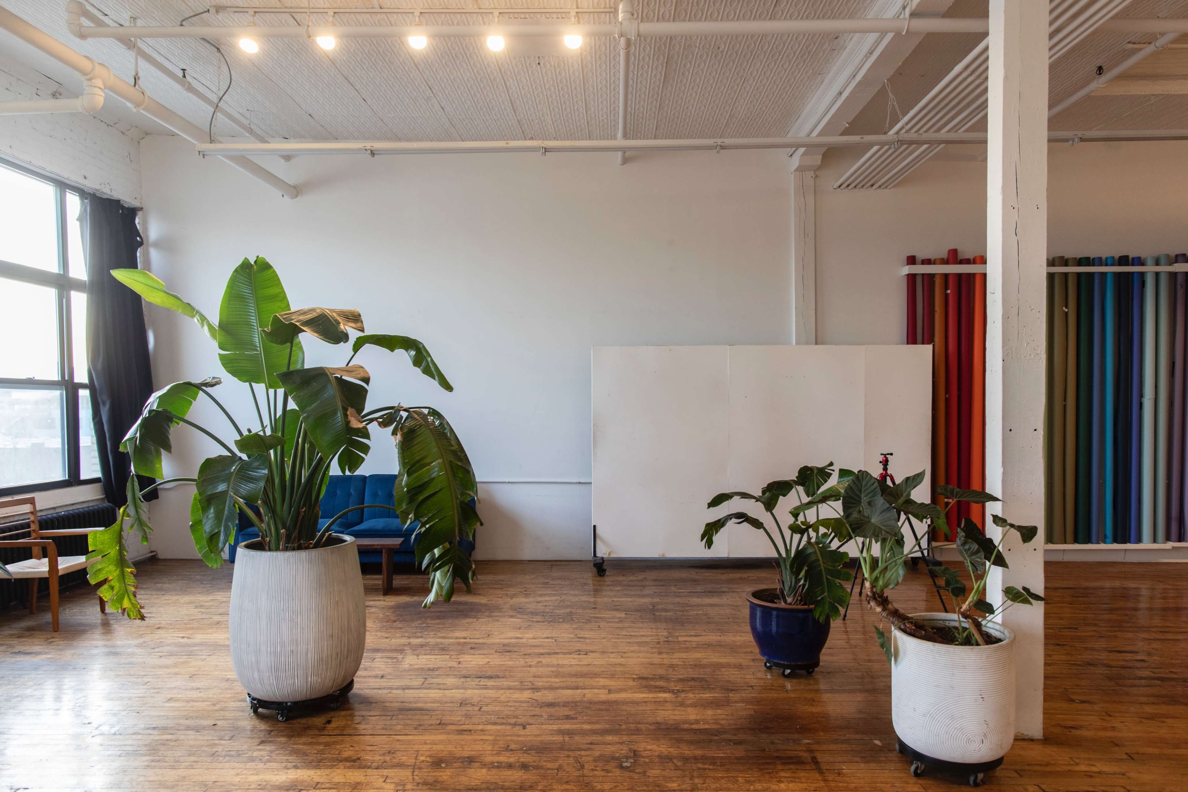 Sosna: 🌱Huge Bright Vintage Loft w/Plants+Trees  🍃 1300 SQ Image in East Williamsburg, Brooklyn, NY