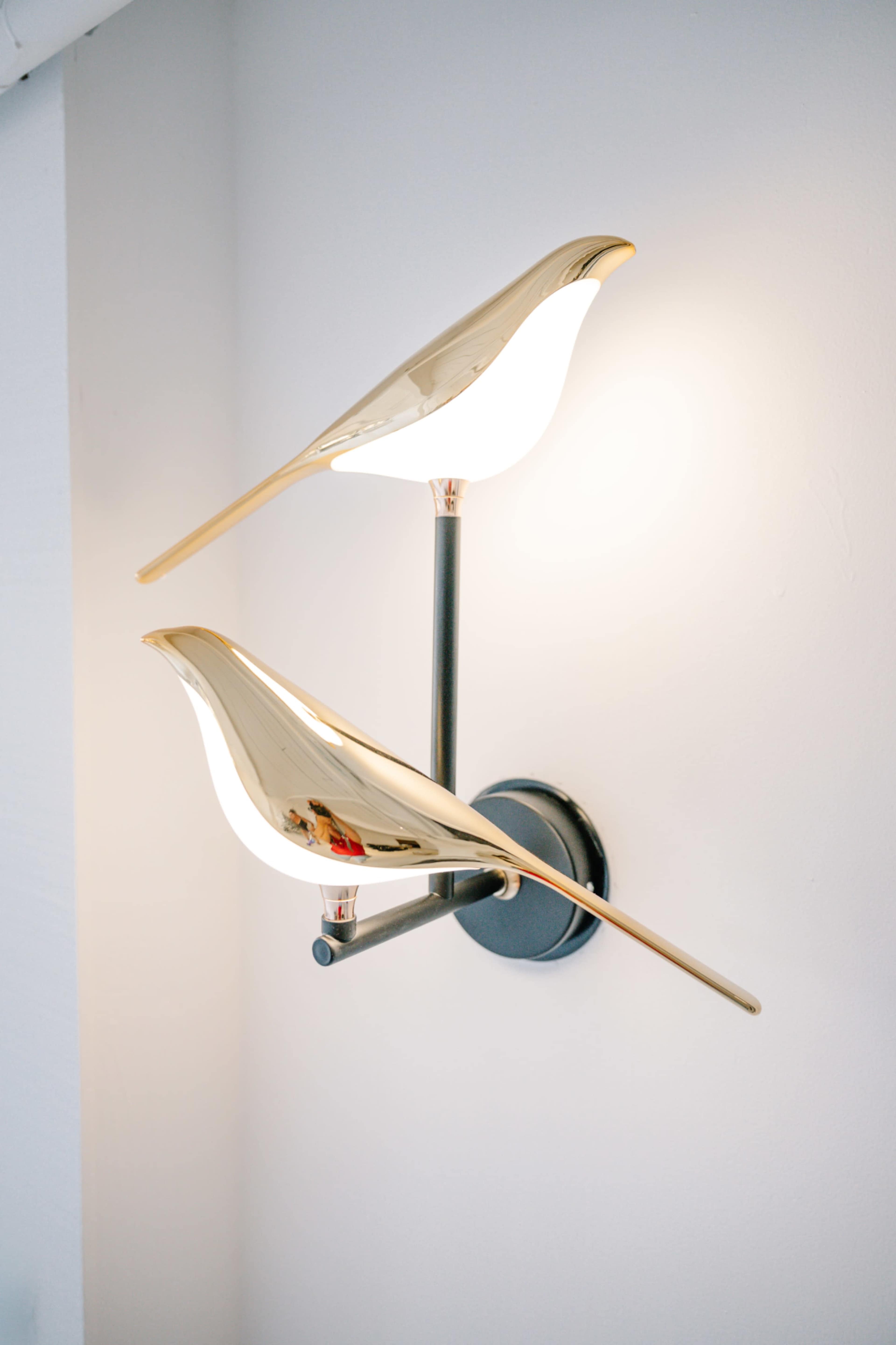 **NEW** The Nest Studio, Shoreline! Bright, Light, Sets Included Image in North City, Shoreline, WA