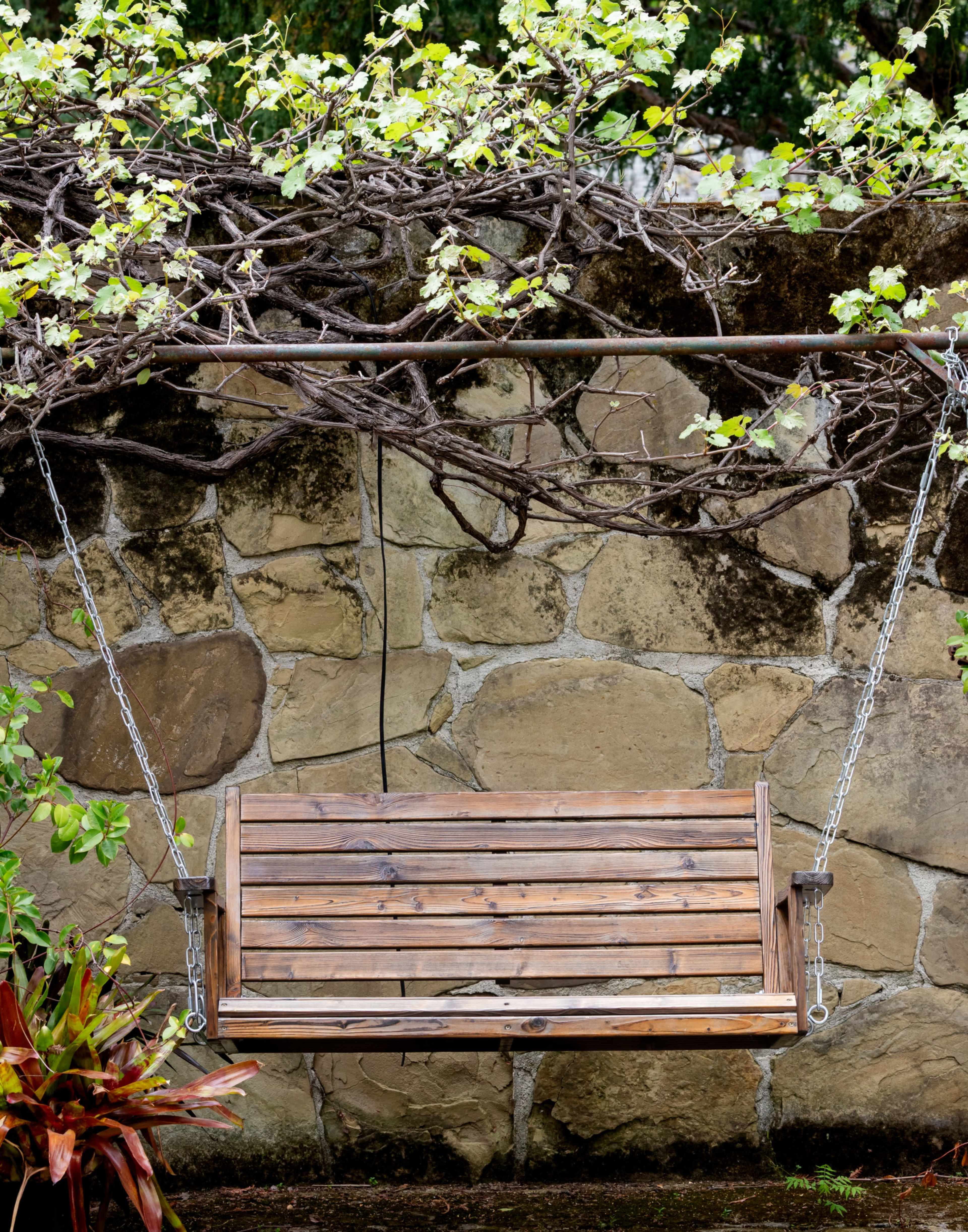 Charming historic garden in downtown Palo Alto Image in University South, Palo Alto, CA