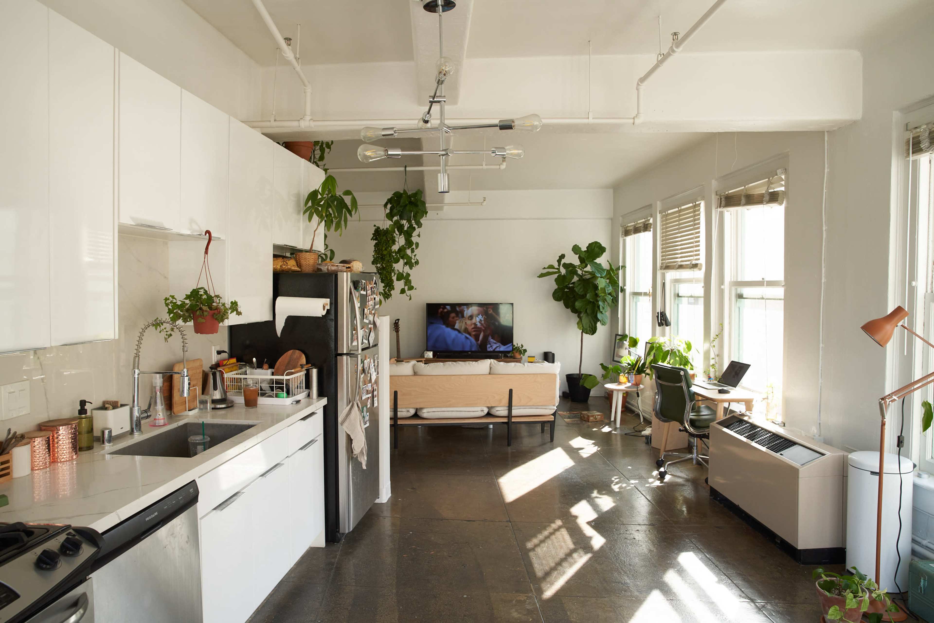 A bright, open-plan apartment features a kitchen on one side and a living area with a couch, television, and plants on the other.