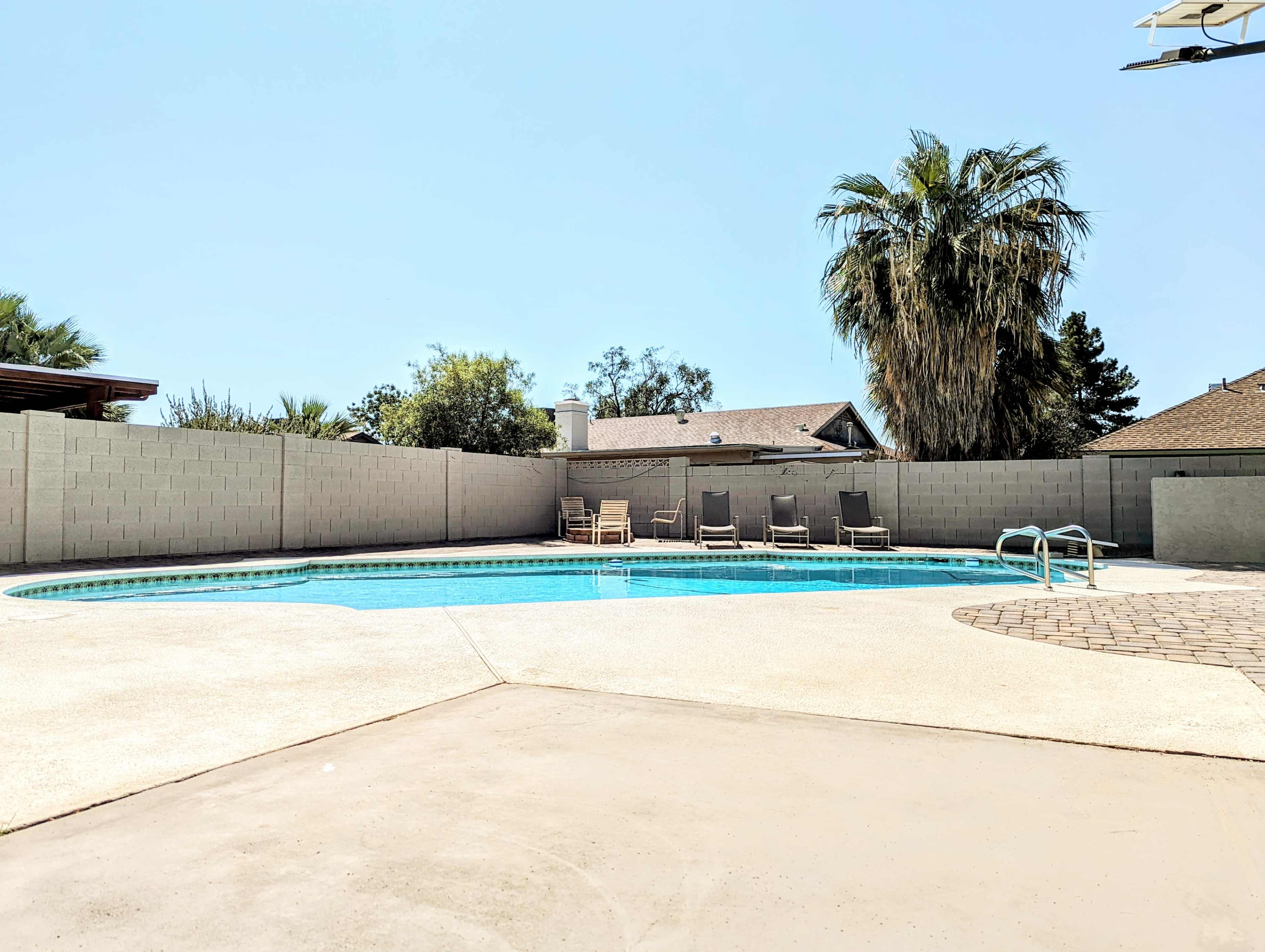 A swimming pool surrounded by a concrete deck, with lounge chairs positioned nearby and bordered by a low wall and palm trees.