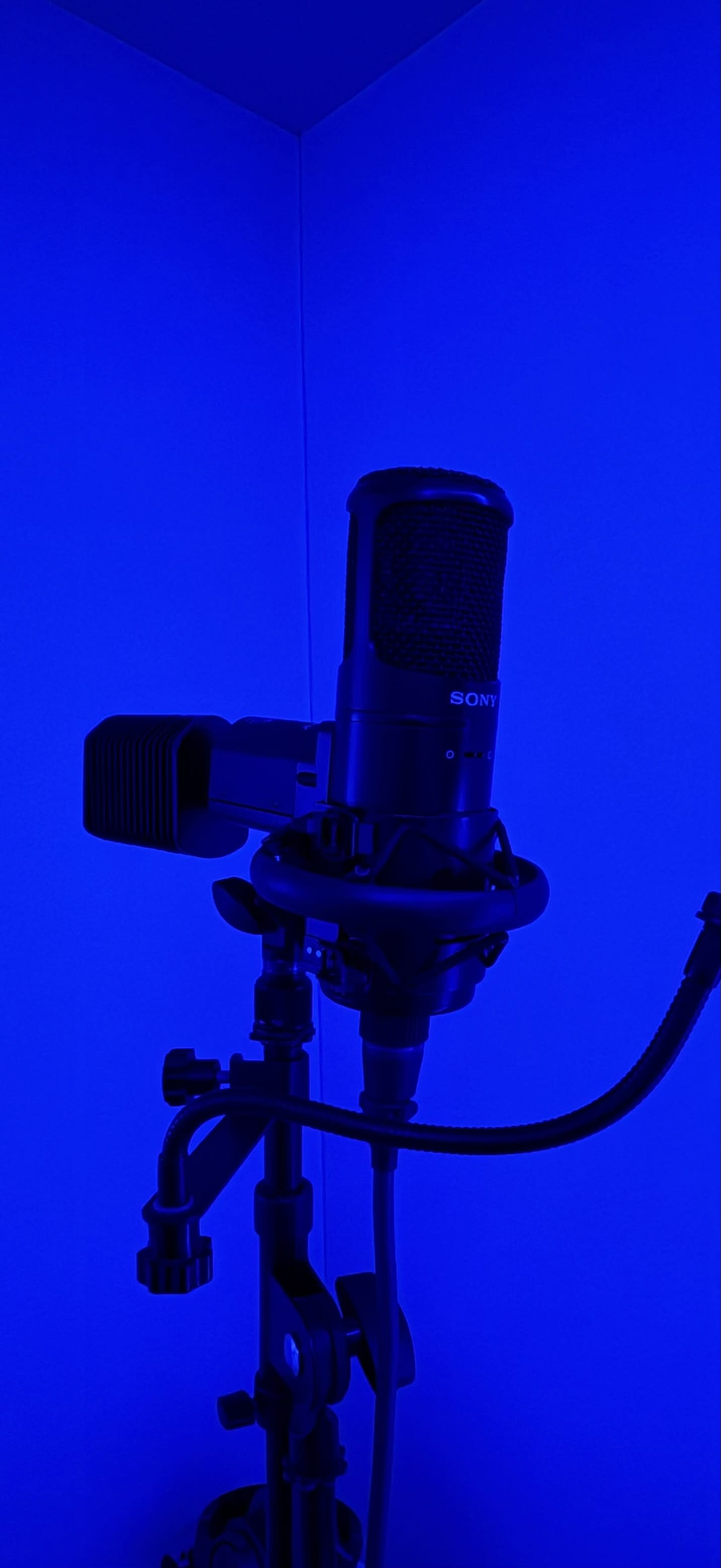 A microphone is mounted on a stand against a blue backdrop.