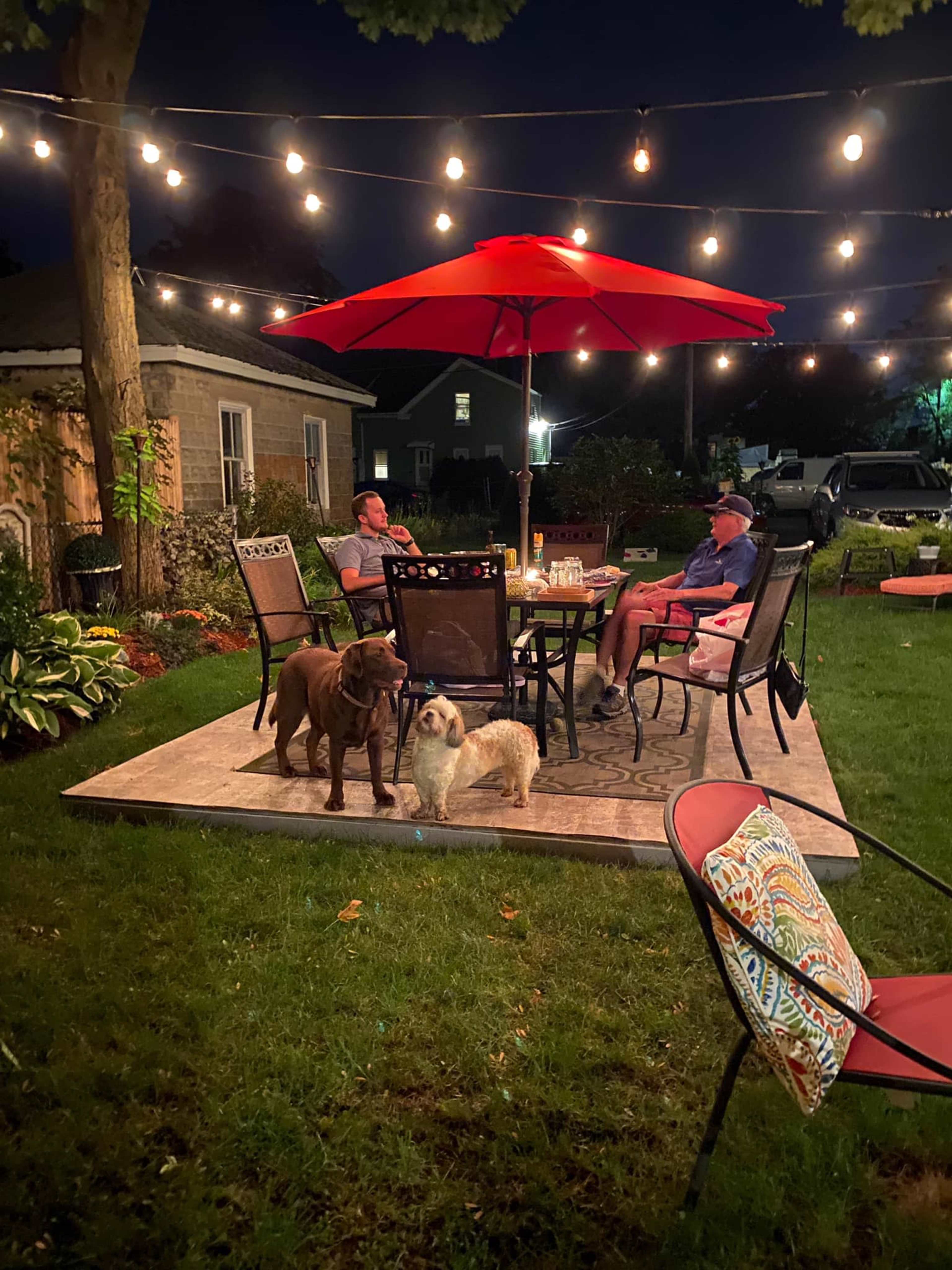 Two men sit at a table under an umbrella in a well-lit backyard, surrounded by three dogs and string lights.