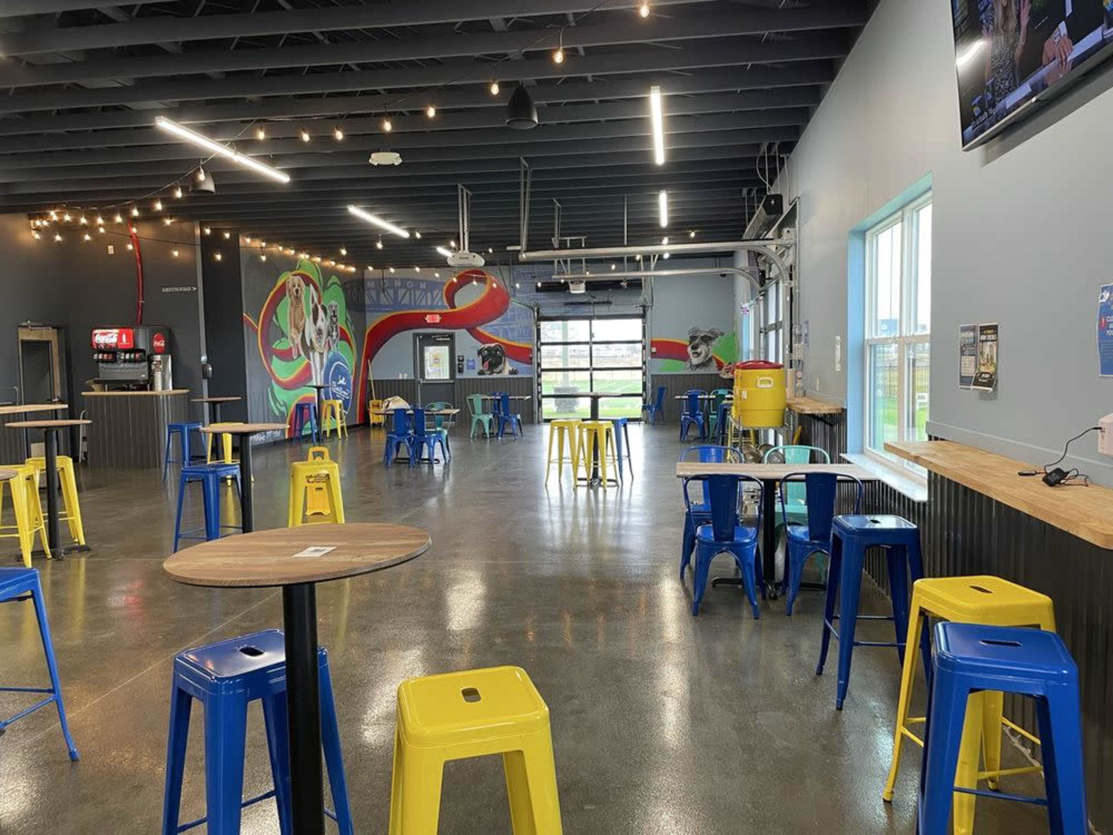 The image shows an indoor space with a polished concrete floor, featuring colorful seating, including yellow and blue stools, and large windows allowing natural light to enter.