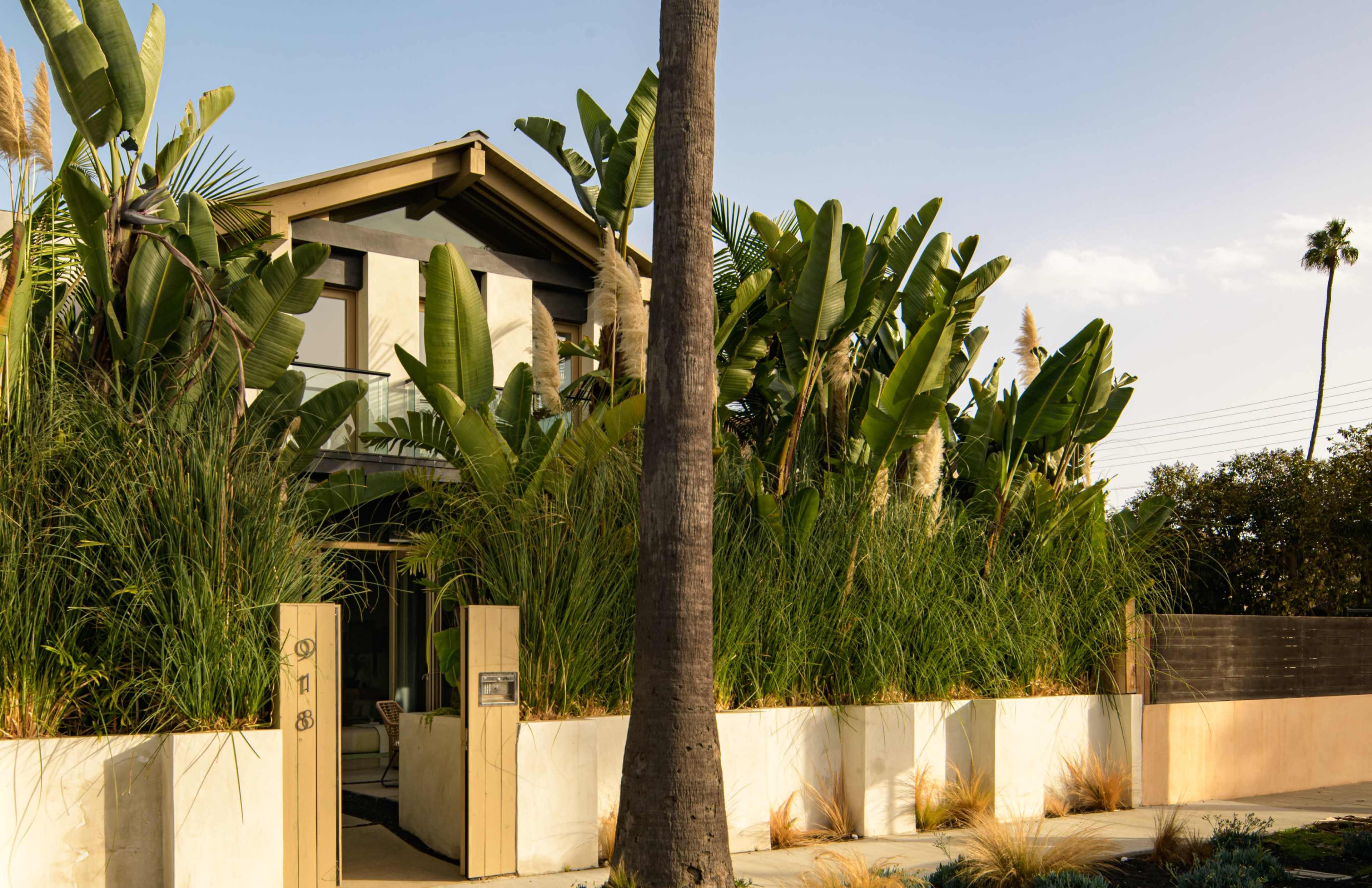 A two-story house is surrounded by tall greenery and palm trees, with a stone pathway leading to its entrance.