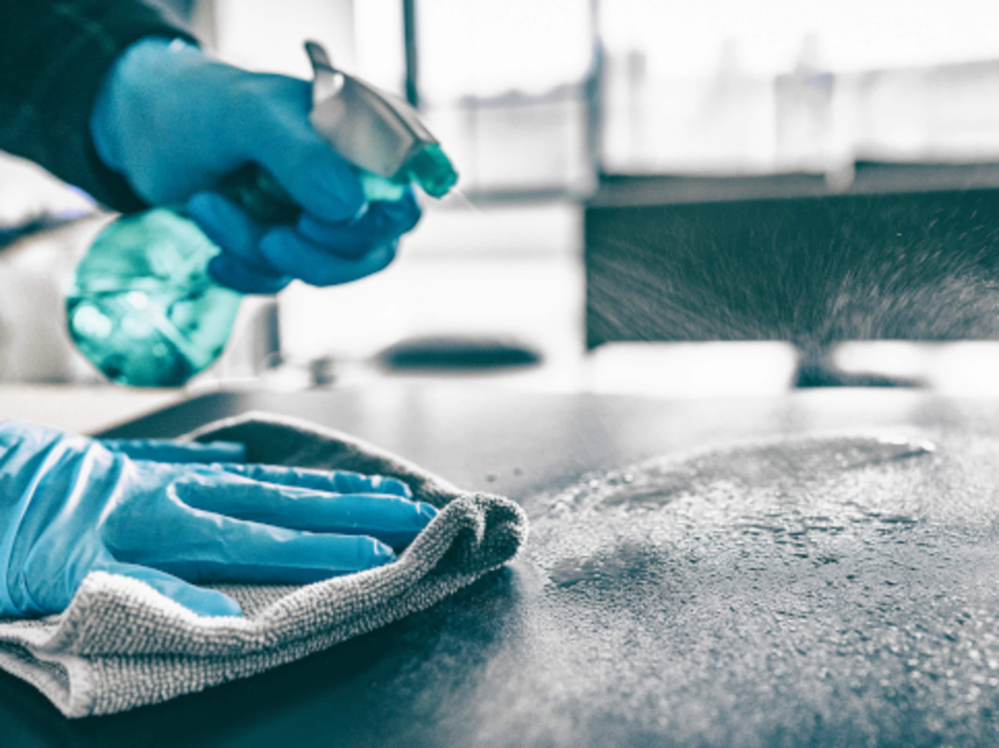 Deep Clean Fee