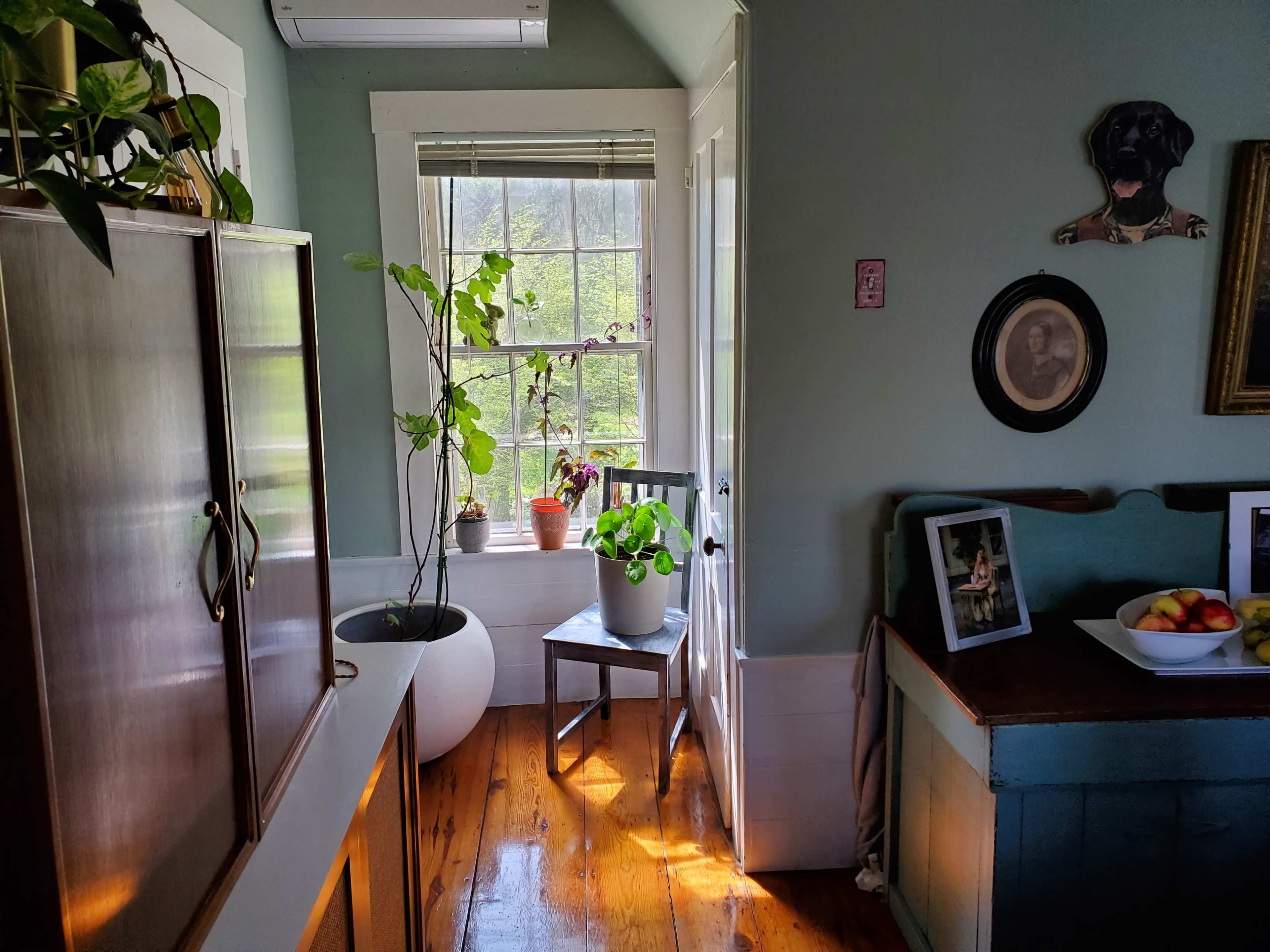 The image shows a well-lit room featuring a wooden floor, a green wall, a window with plants, and a mix of furniture including a chair and a cabinet.