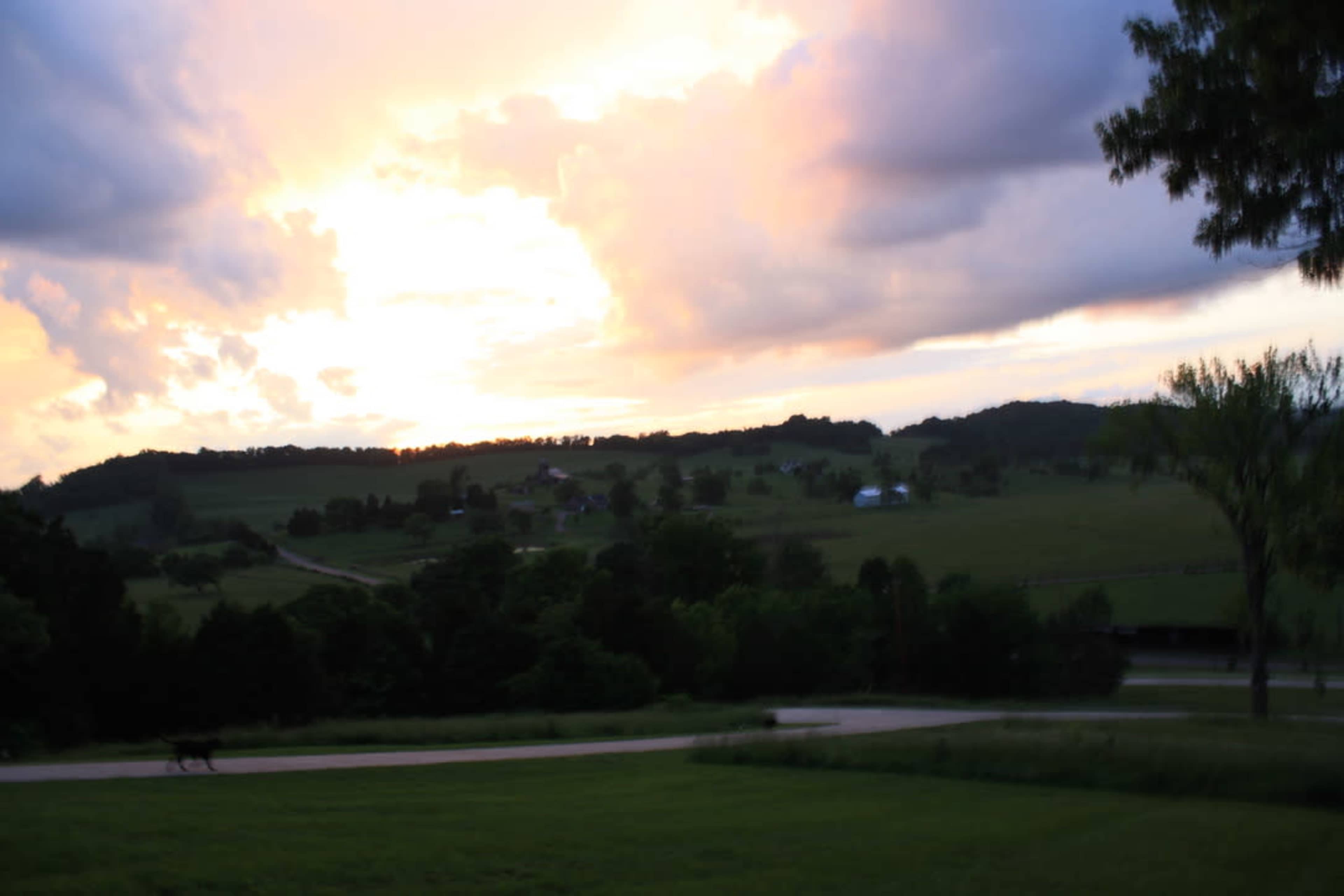 200 Acres of Rolling Countryside Image in , COLUMBIA, TN