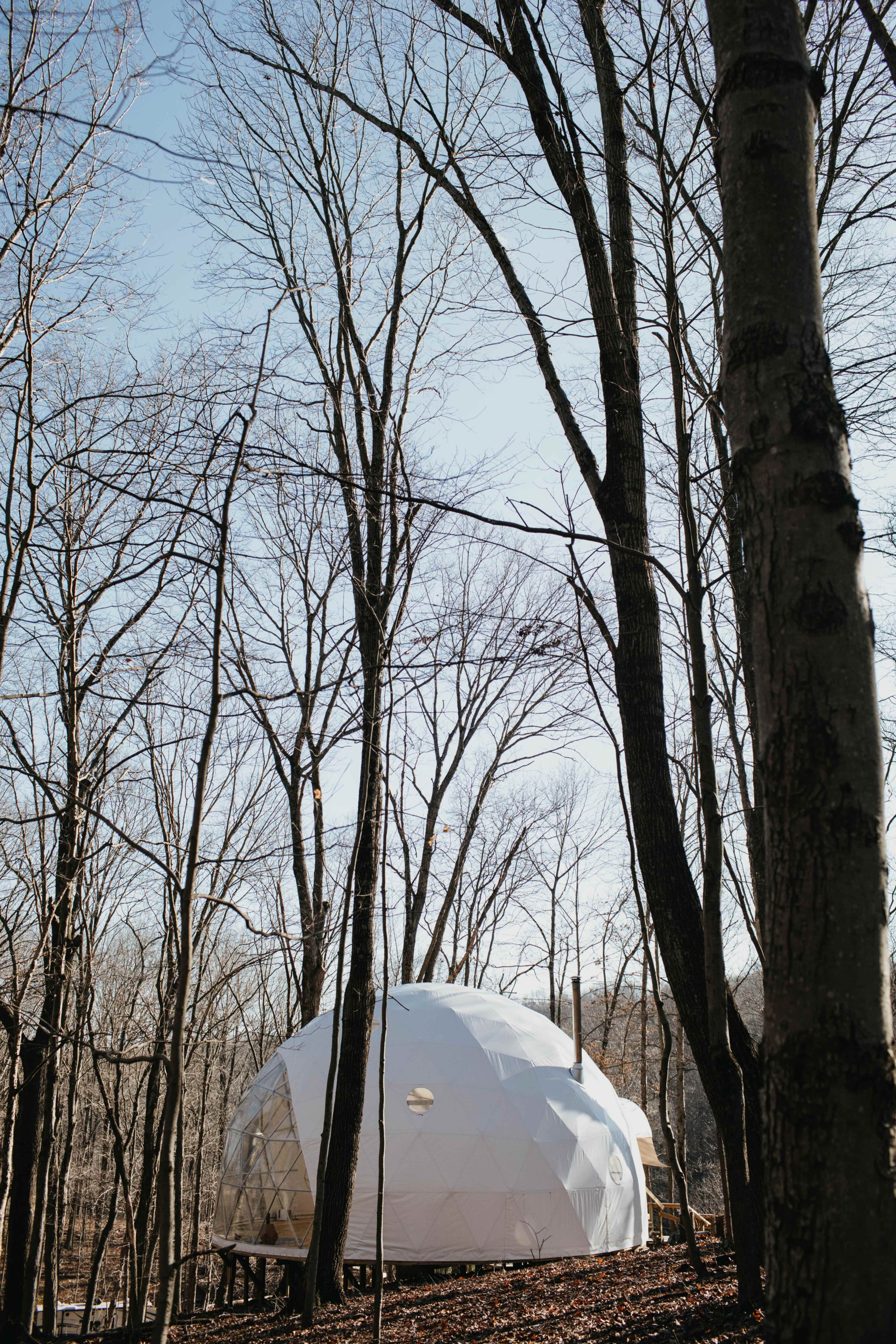 A geodesic dome is situated among bare trees in a wooded area.