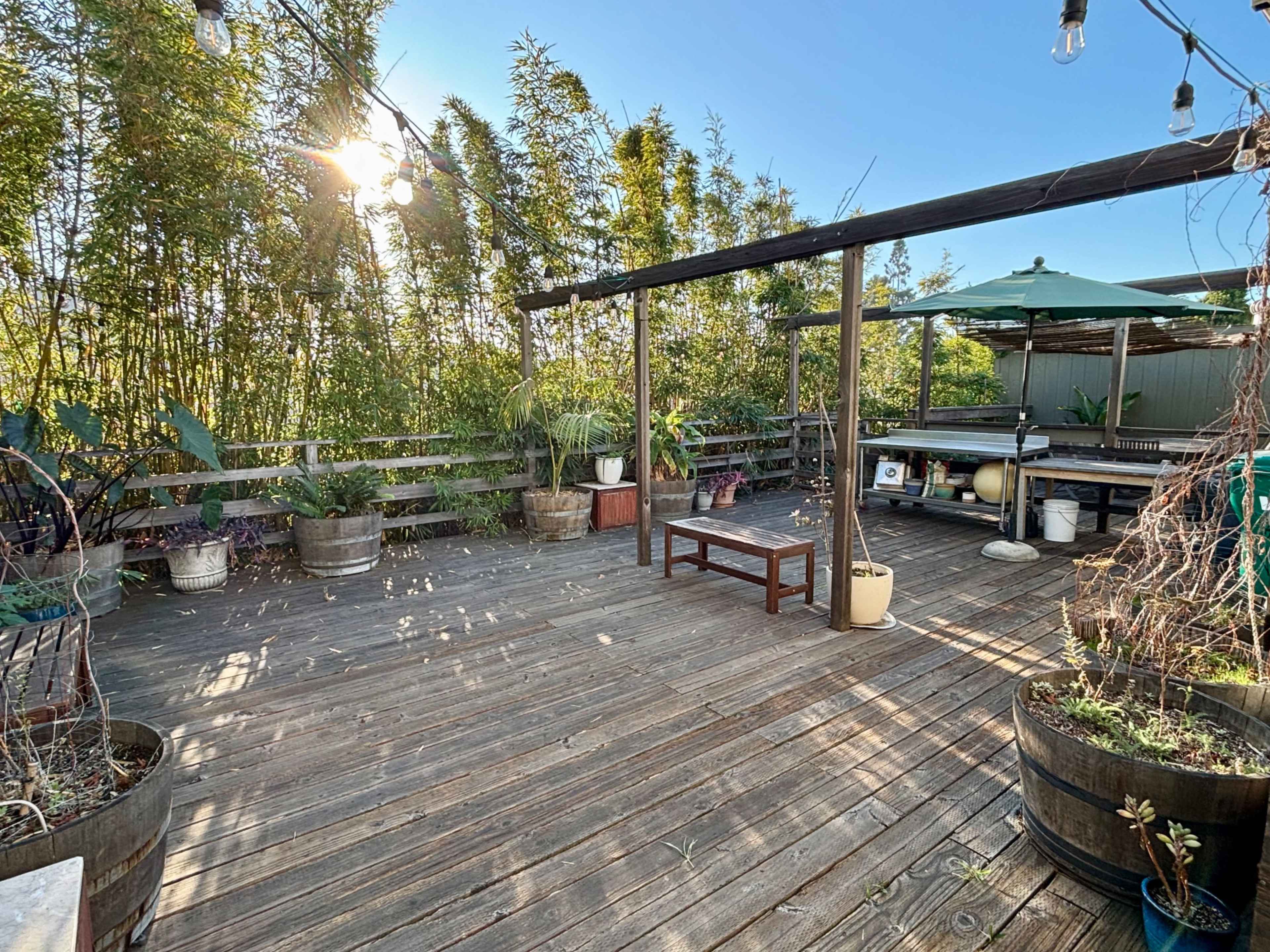 Micro Cinema and Brewery in a Historic Victorian Building Image in Downtown Oakland, Oakland, CA