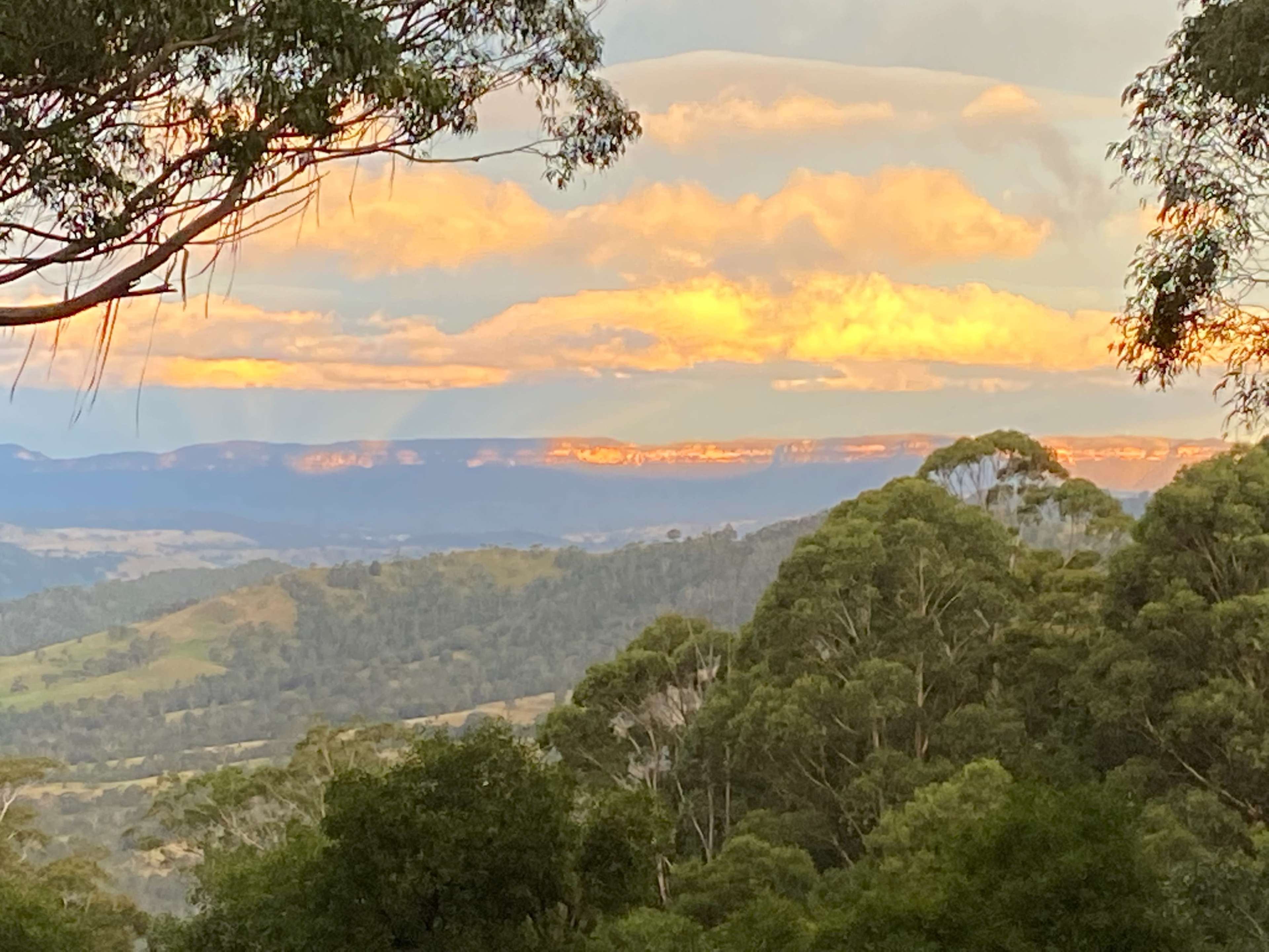 A mountainous landscape with trees in the foreground and clouds illuminated by a sunset in the background.