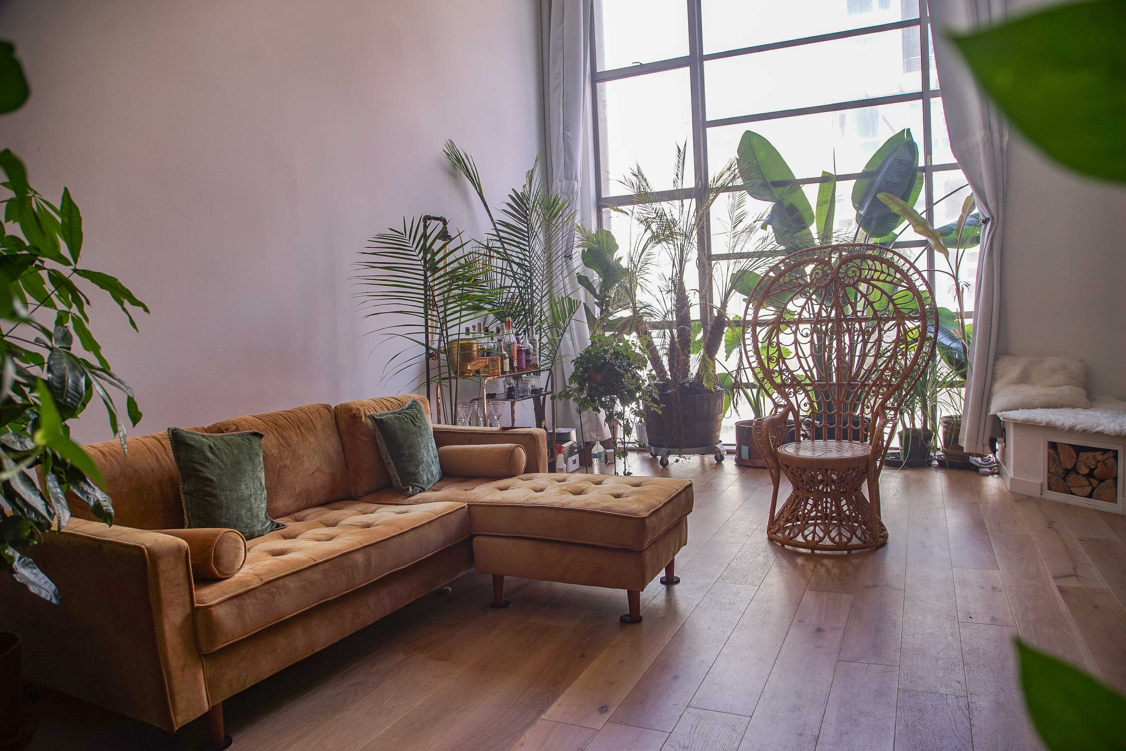 The image shows a modern living room with a brown sectional sofa, a decorative wicker chair, and numerous indoor plants surrounding large windows.