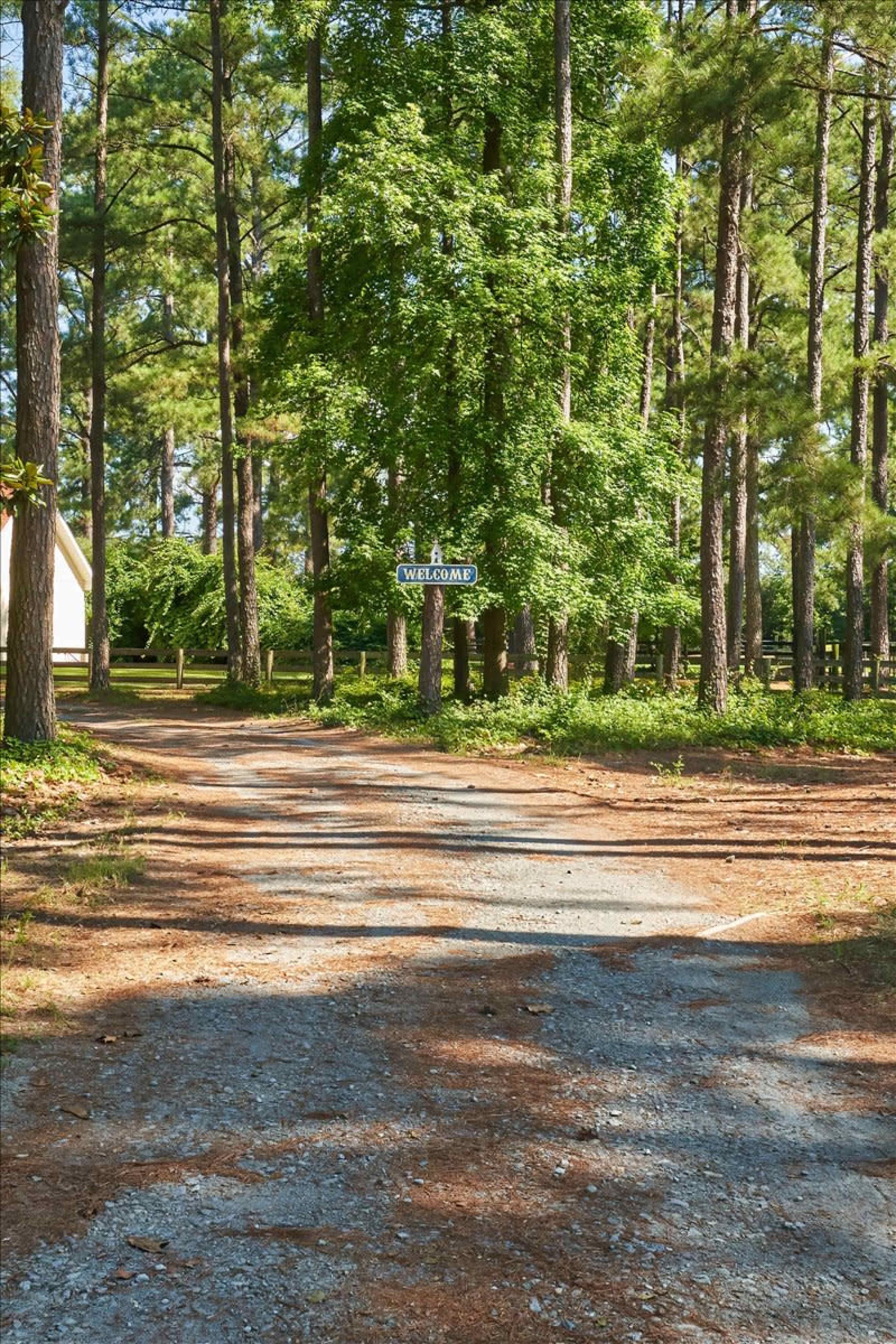 A gravel path leads through a forest of tall pine trees towards a sign reading "Welcome."