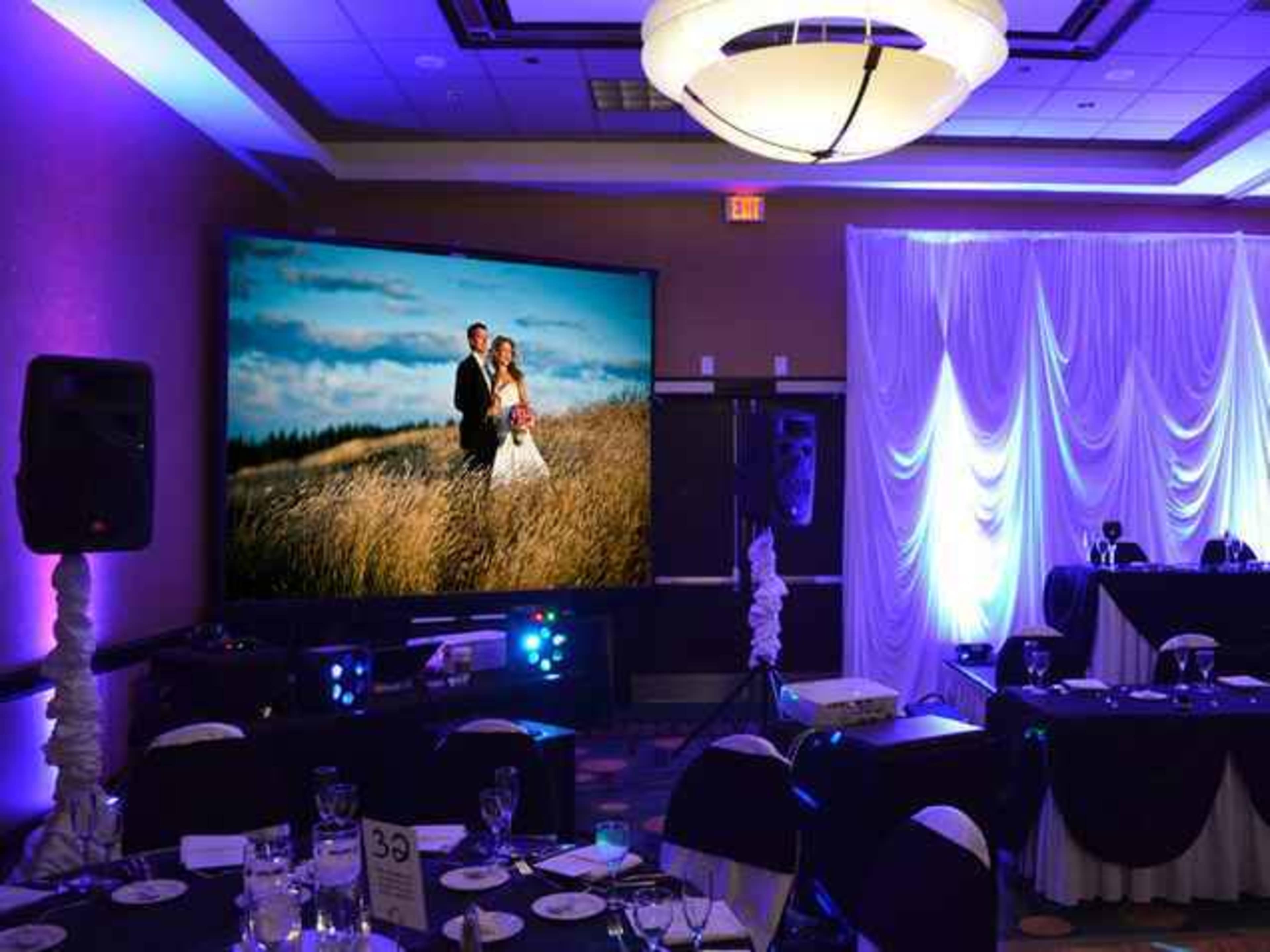 Prosector and Screen
