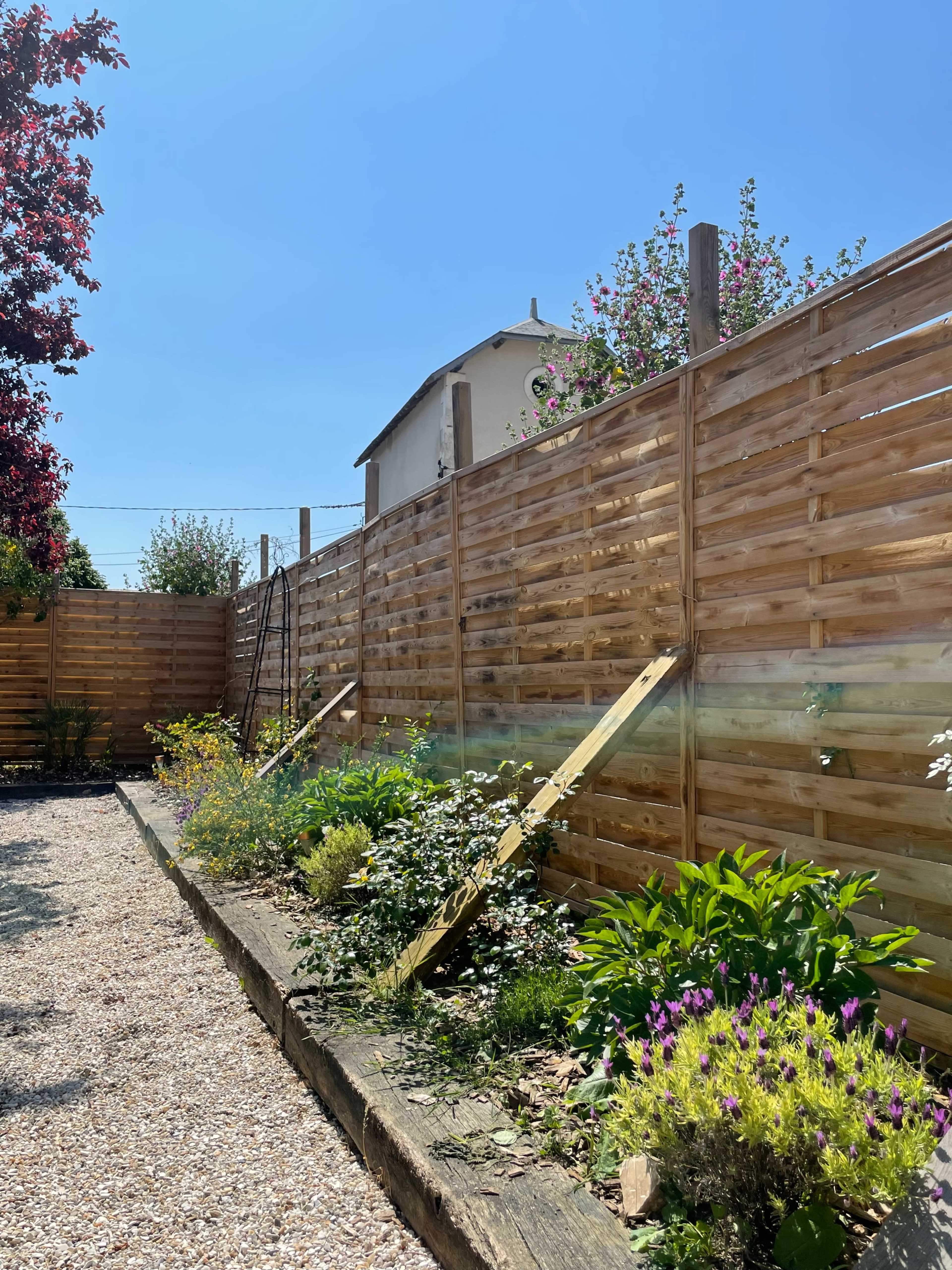 A garden with a wooden fence, various plants and flowers, and a clear blue sky above.