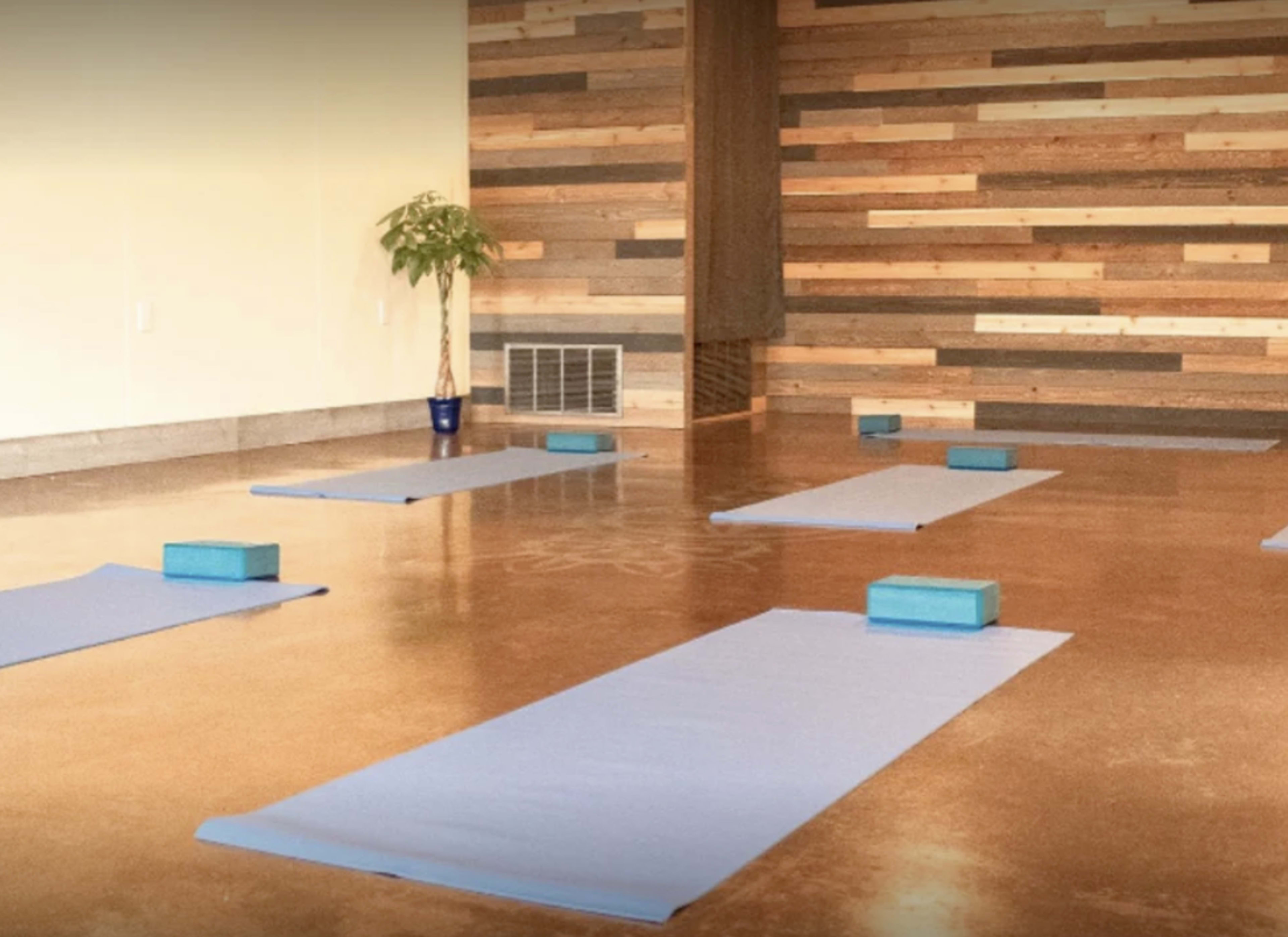 A yoga studio with several blue mats and blocks arranged on a polished concrete floor against a wooden accent wall.