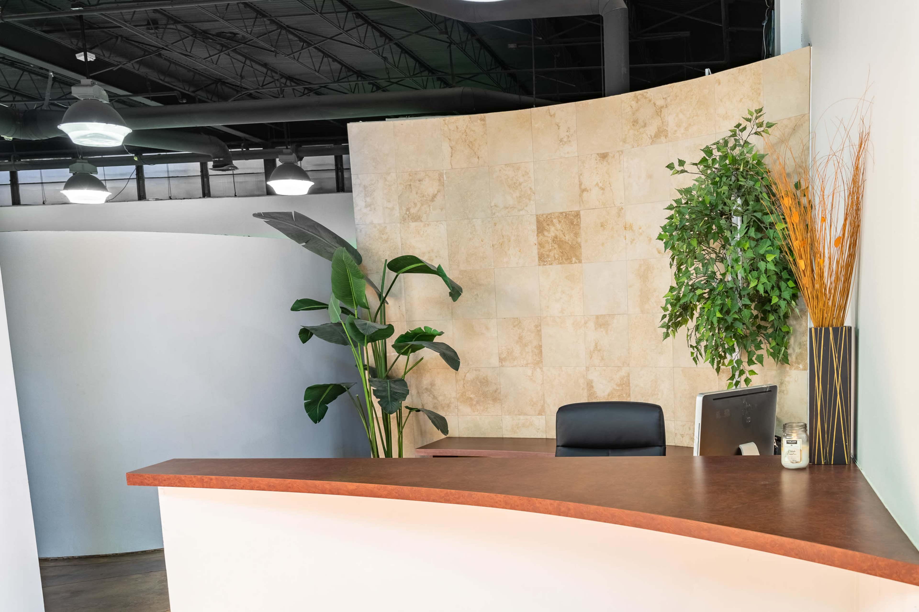 The image shows a modern reception area featuring a curved countertop, a black chair, and decorative plants against a light-colored wall.