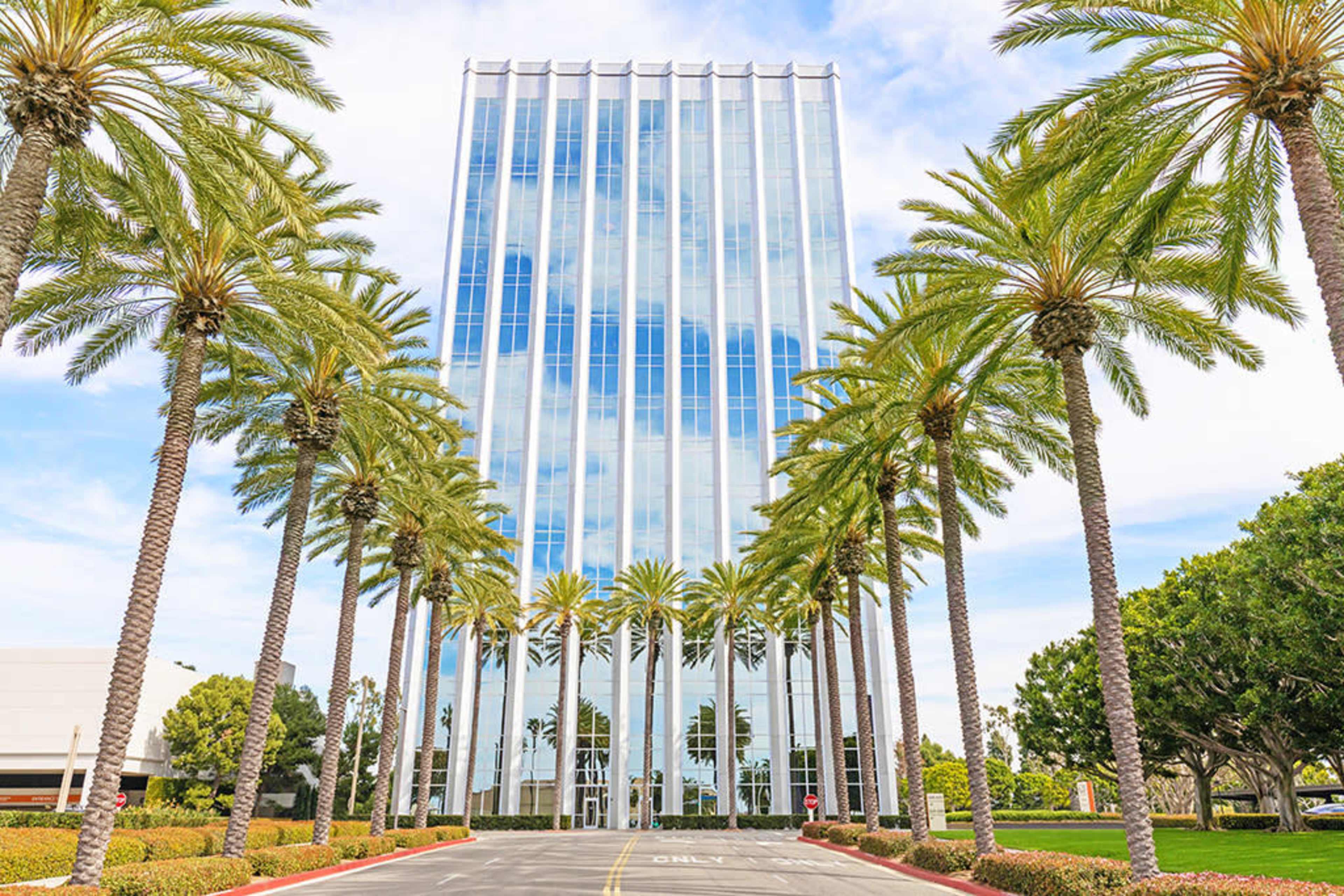 A tall glass building is flanked by palm trees along a paved pathway.