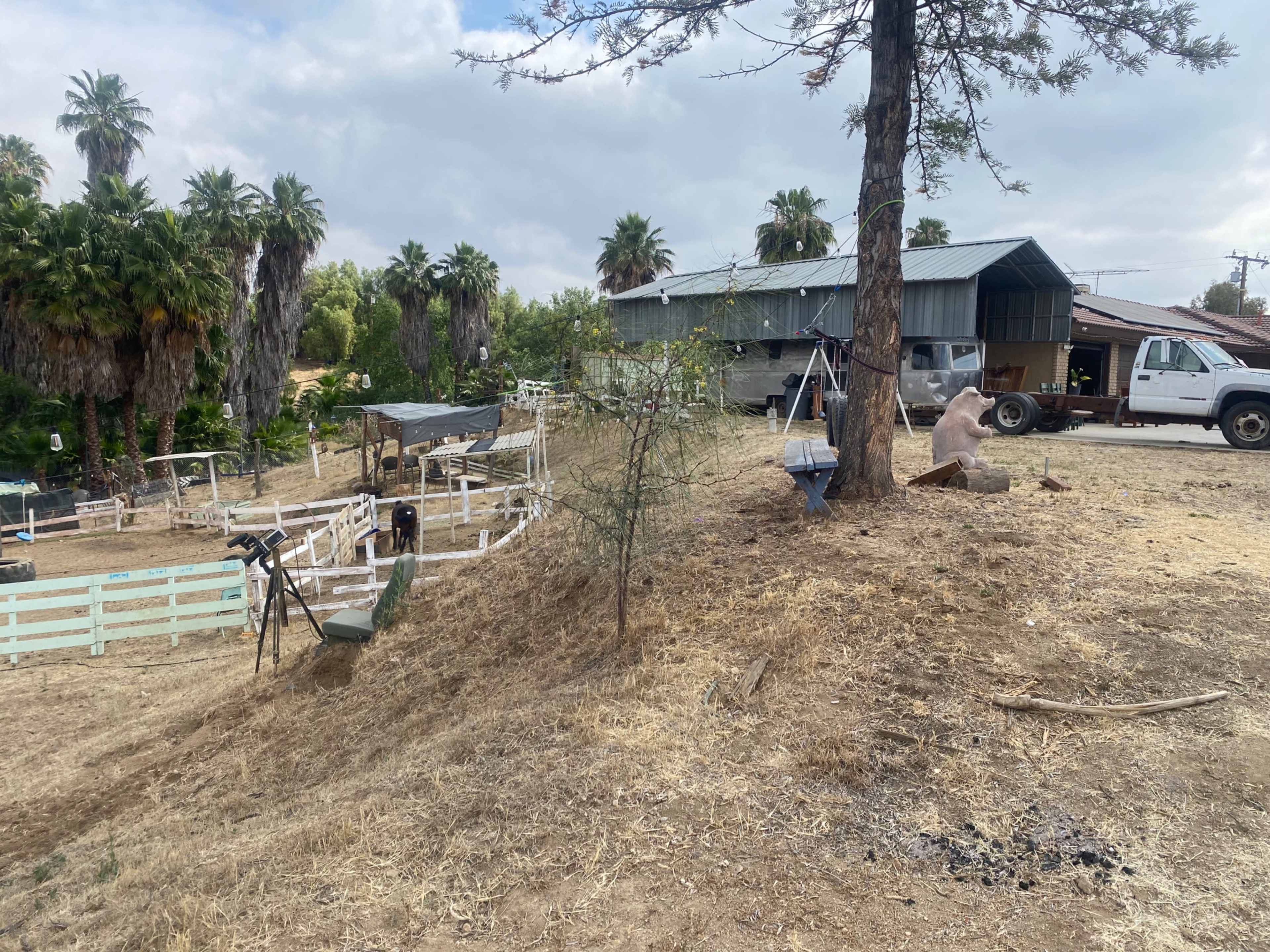 The image shows a hillside with a mix of palm trees, farming equipment, and two agricultural buildings in the background.