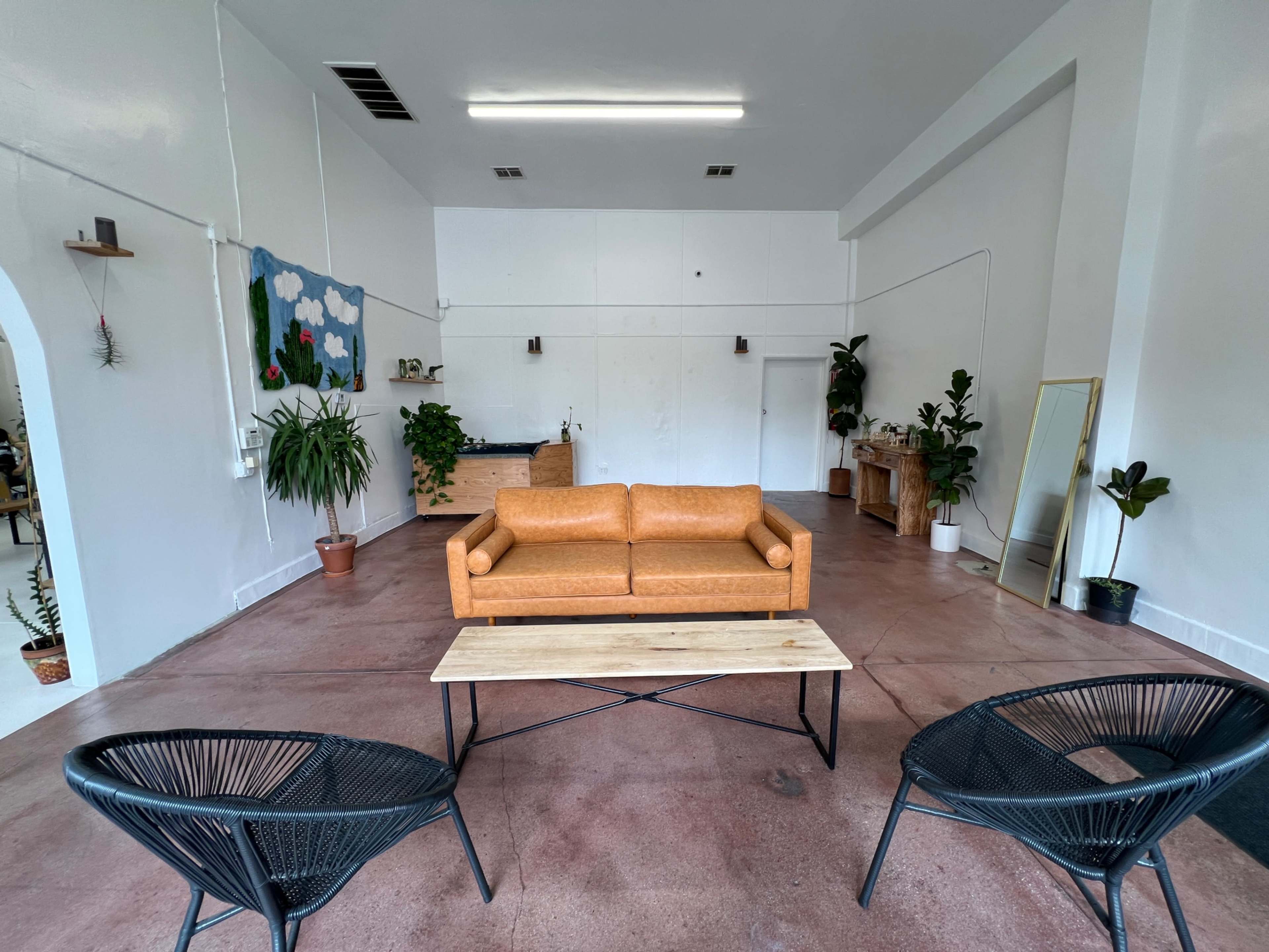 A spacious interior with a brown sofa, two black chairs, a coffee table, and various plants against white walls.