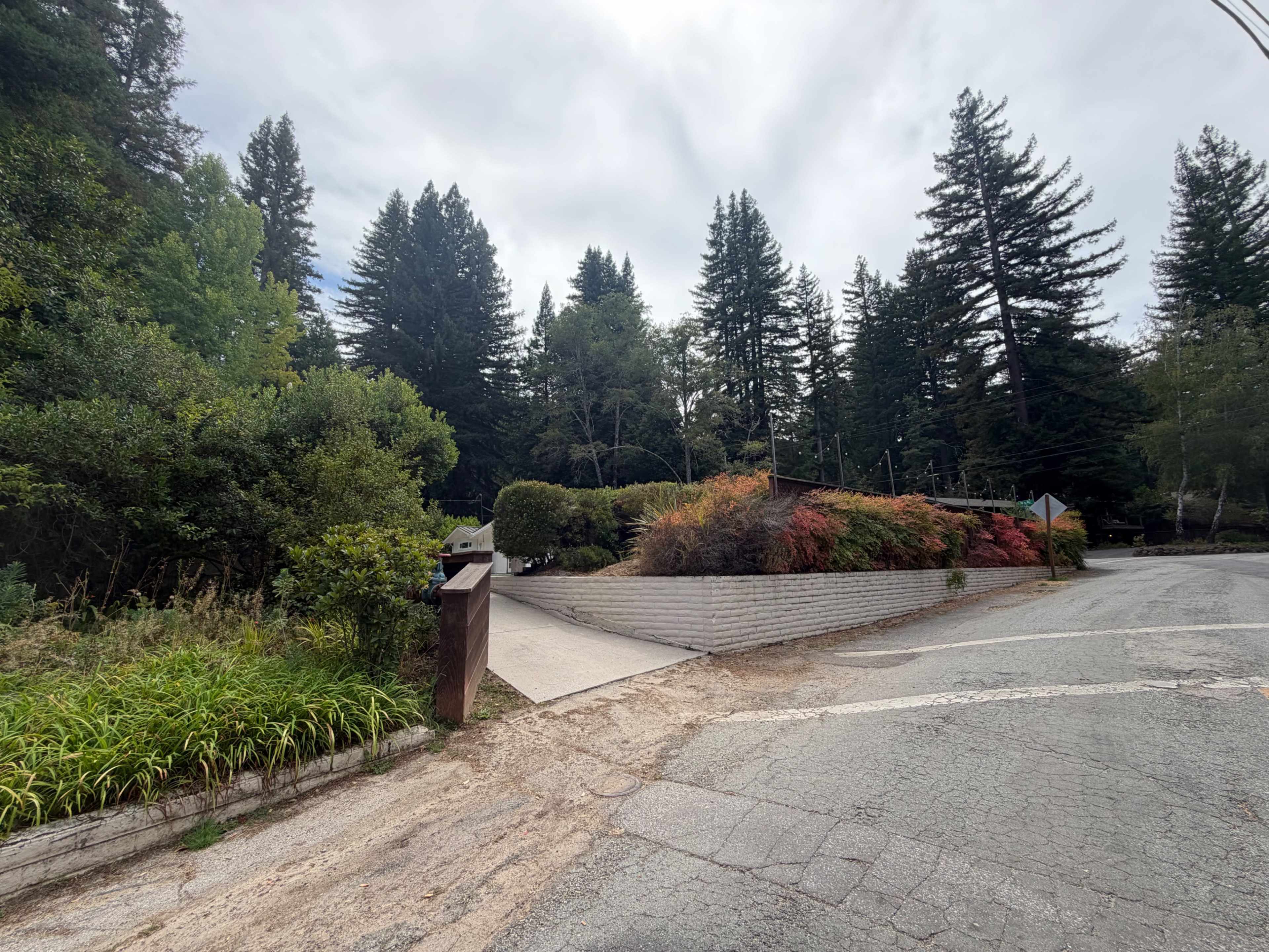 A residential entrance is framed by greenery and trees, leading to a driveway that curves into a property.