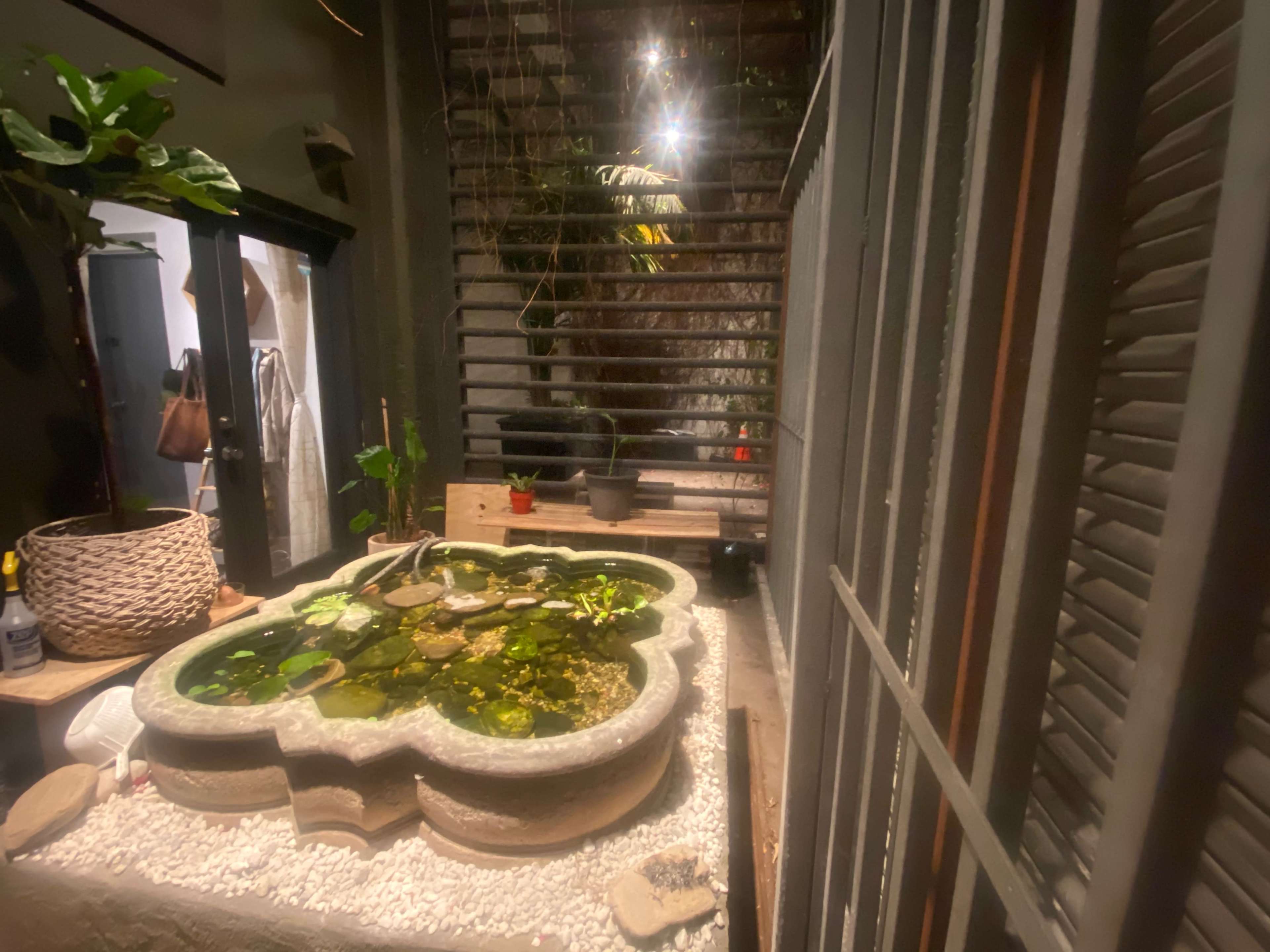 A stone fountain with water plants, surrounded by gravel and set against a background of modern architecture and greenery.