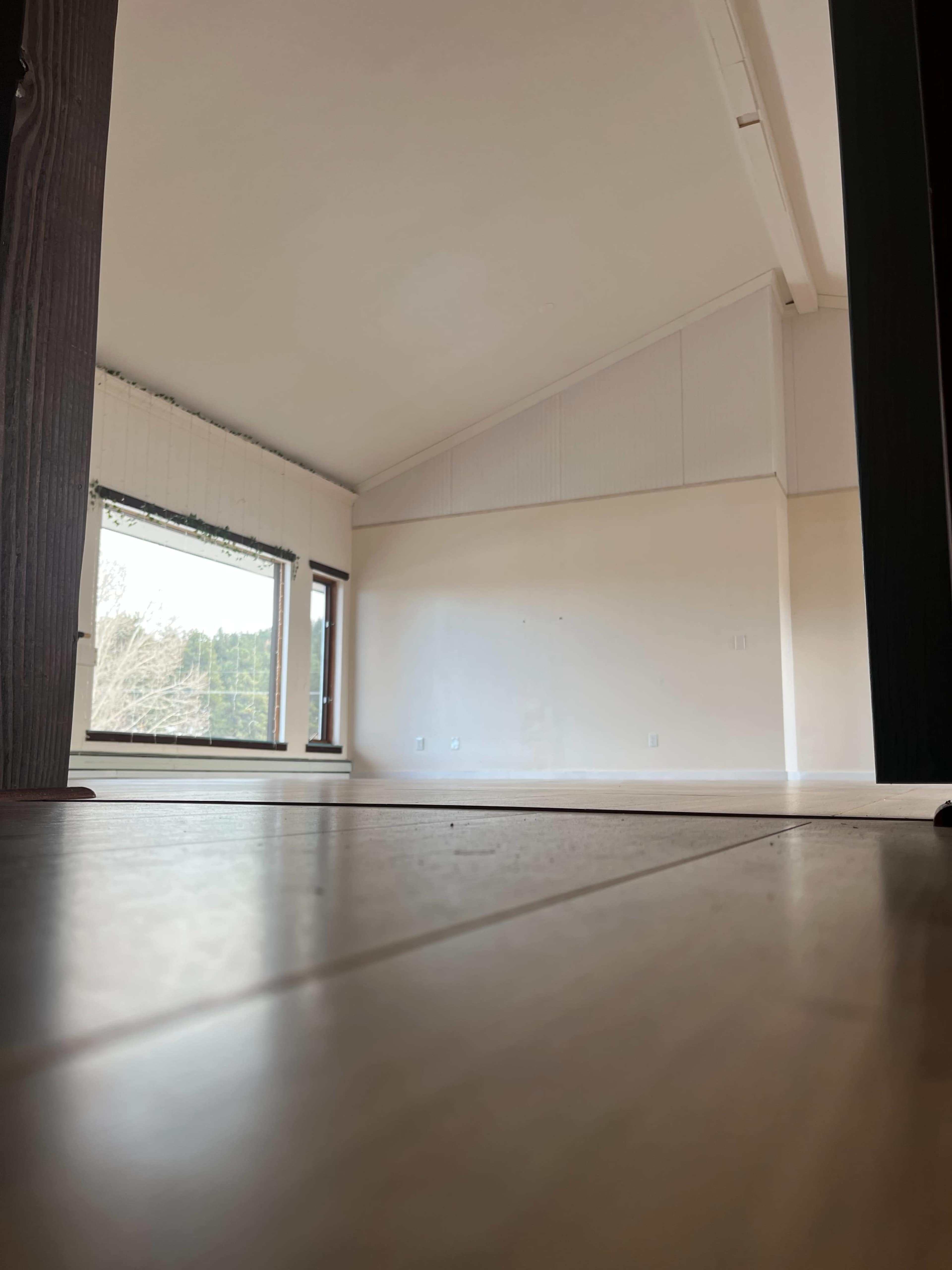 Bright and Open Yoga Studio (with office) in South Evergreen Image in Evergreen Meadows, Evergreen, AS