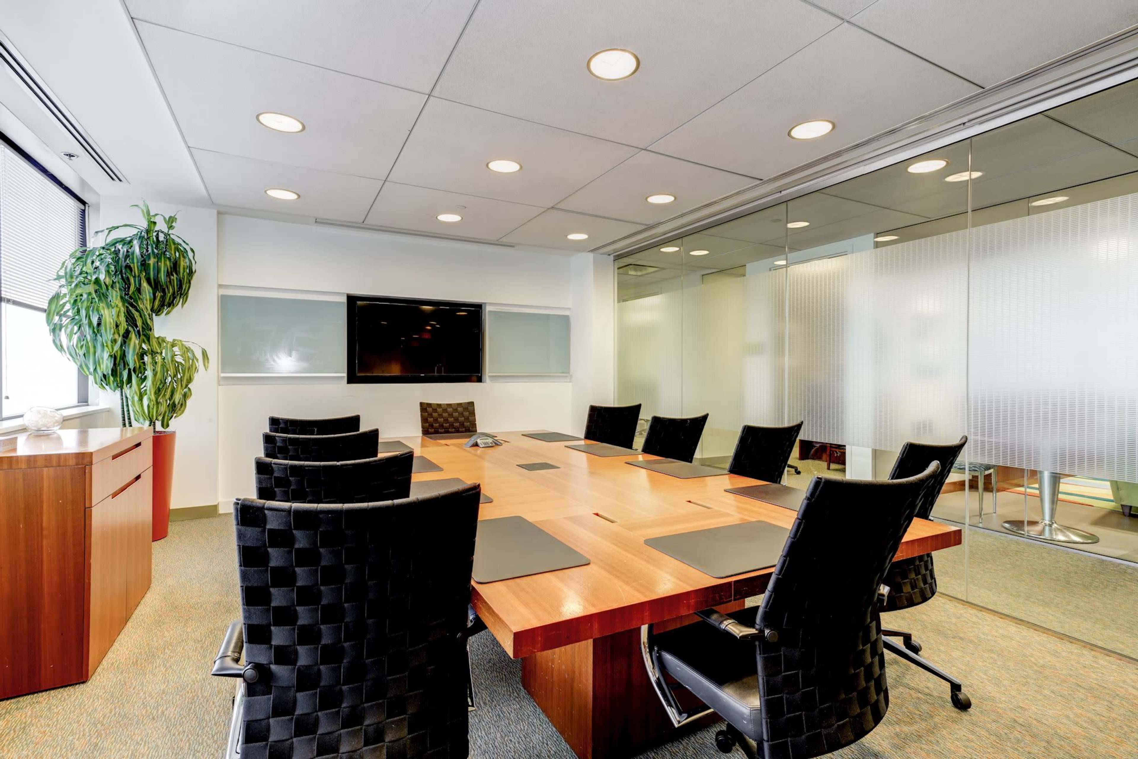 A conference room features a large wooden table surrounded by black chairs, with a mounted screen on the wall and a potted plant in one corner.