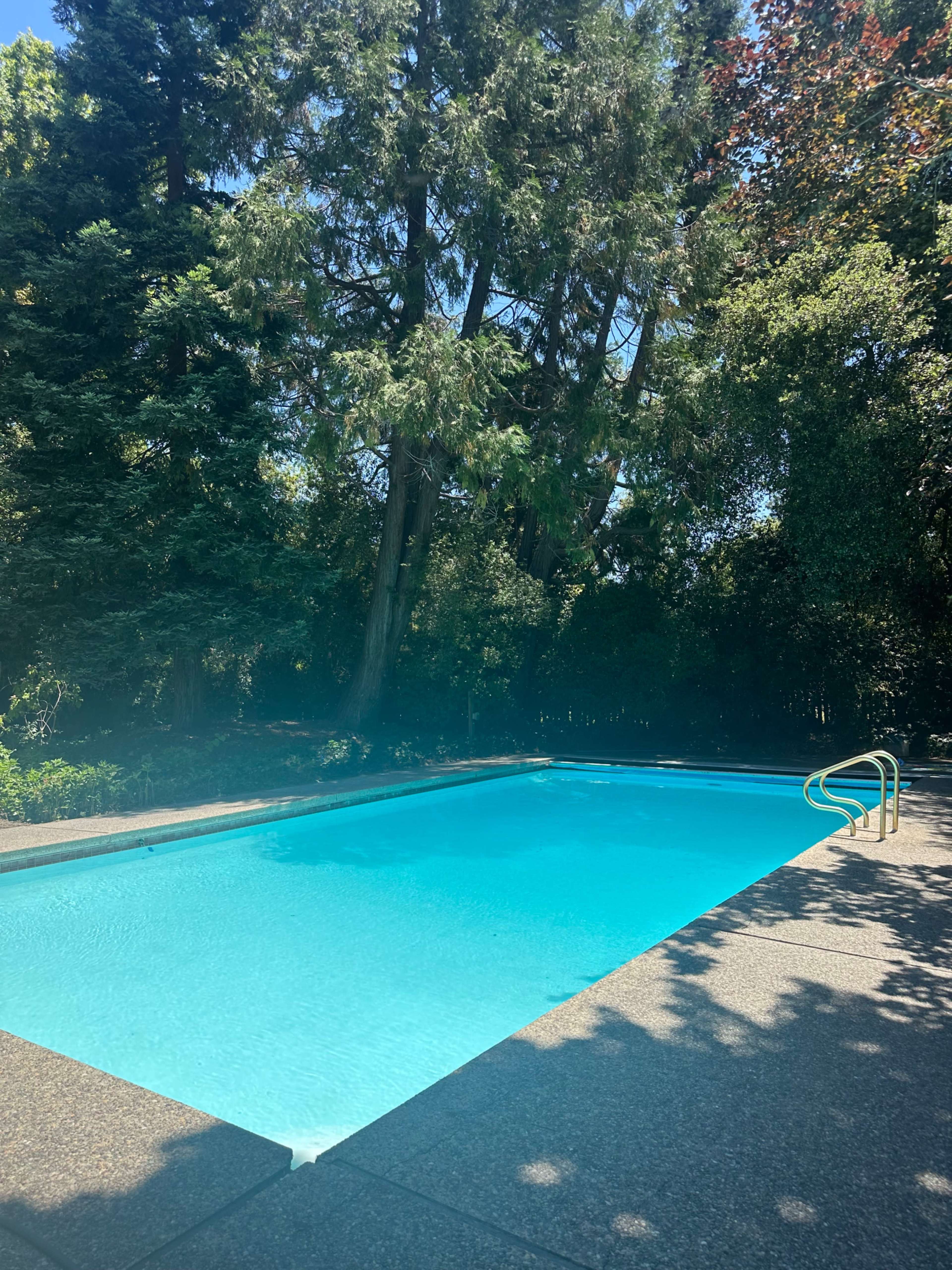 The image shows a rectangular swimming pool surrounded by tall trees and a clear blue sky.