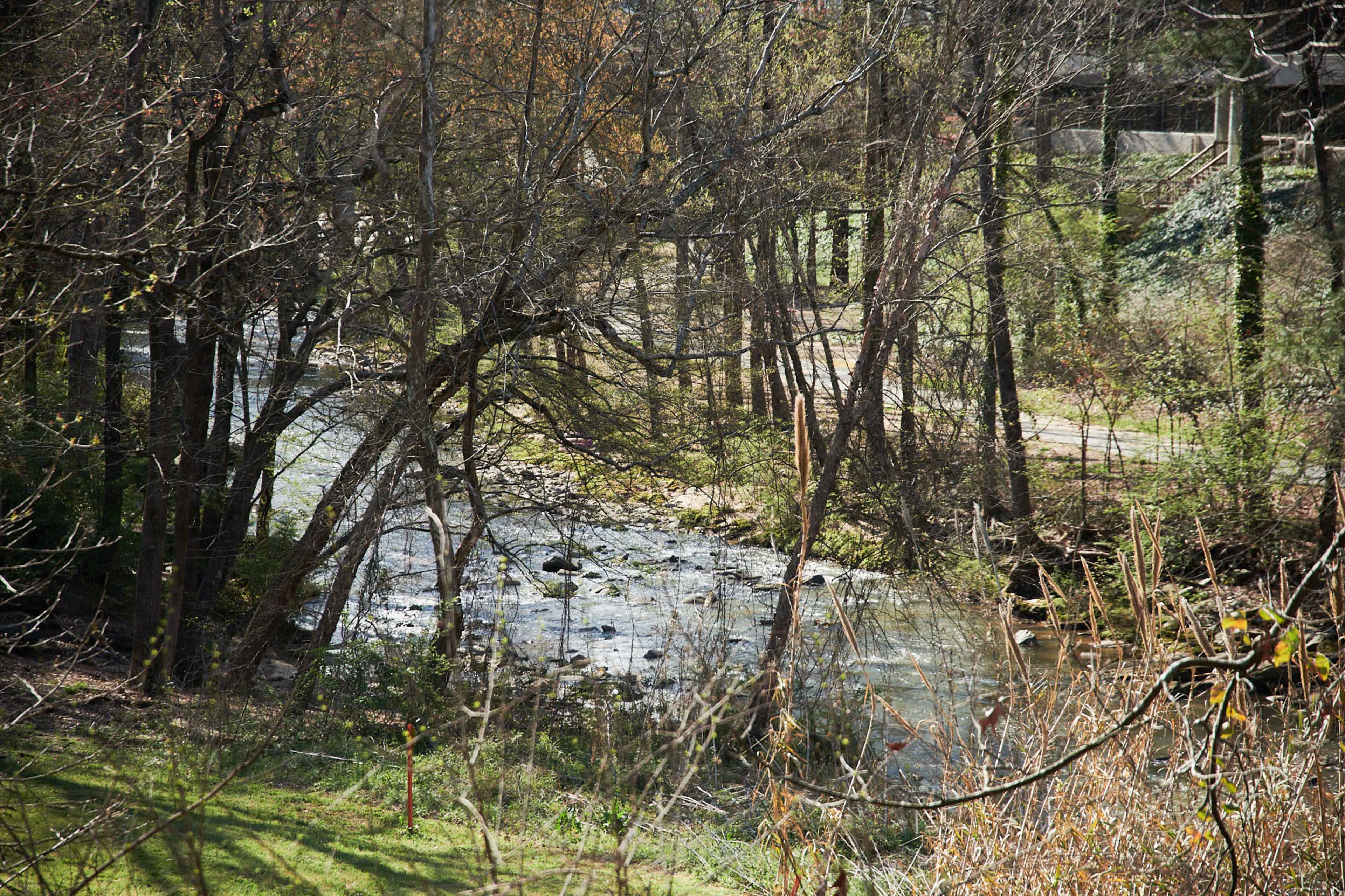 A shallow stream flows alongside a tree-lined path with bare branches and patches of green grass.