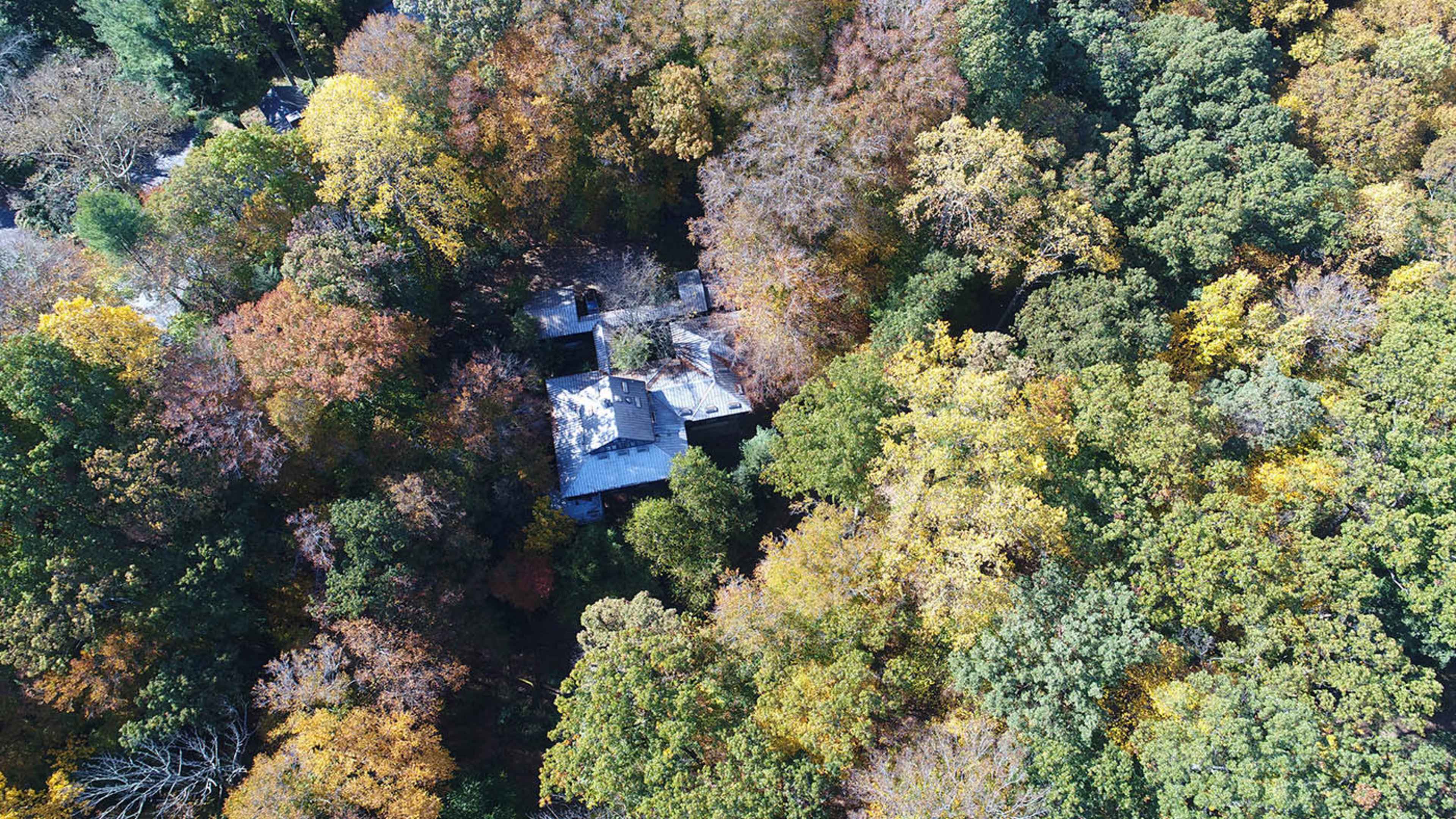 An aerial view shows a house surrounded by dense trees displaying autumn foliage.