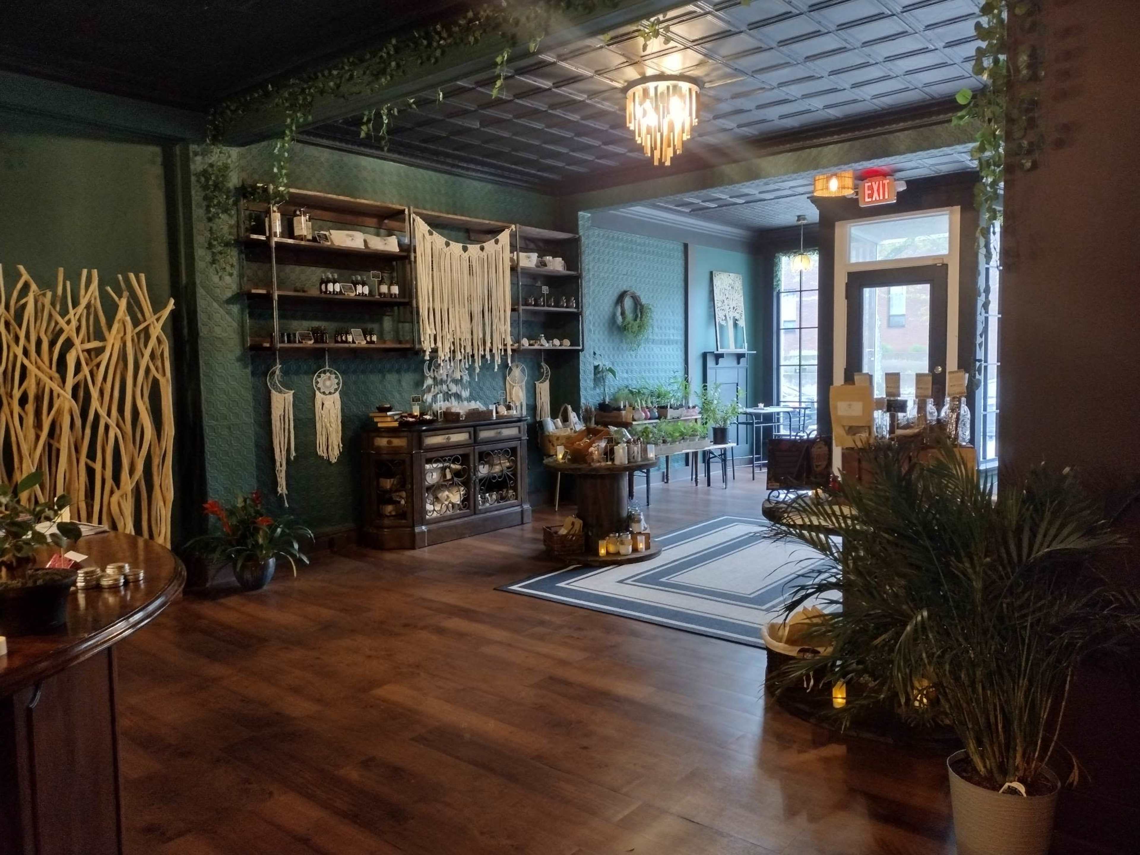 A well-decorated interior space featuring wooden flooring, green walls, shelves with various items, and potted plants.
