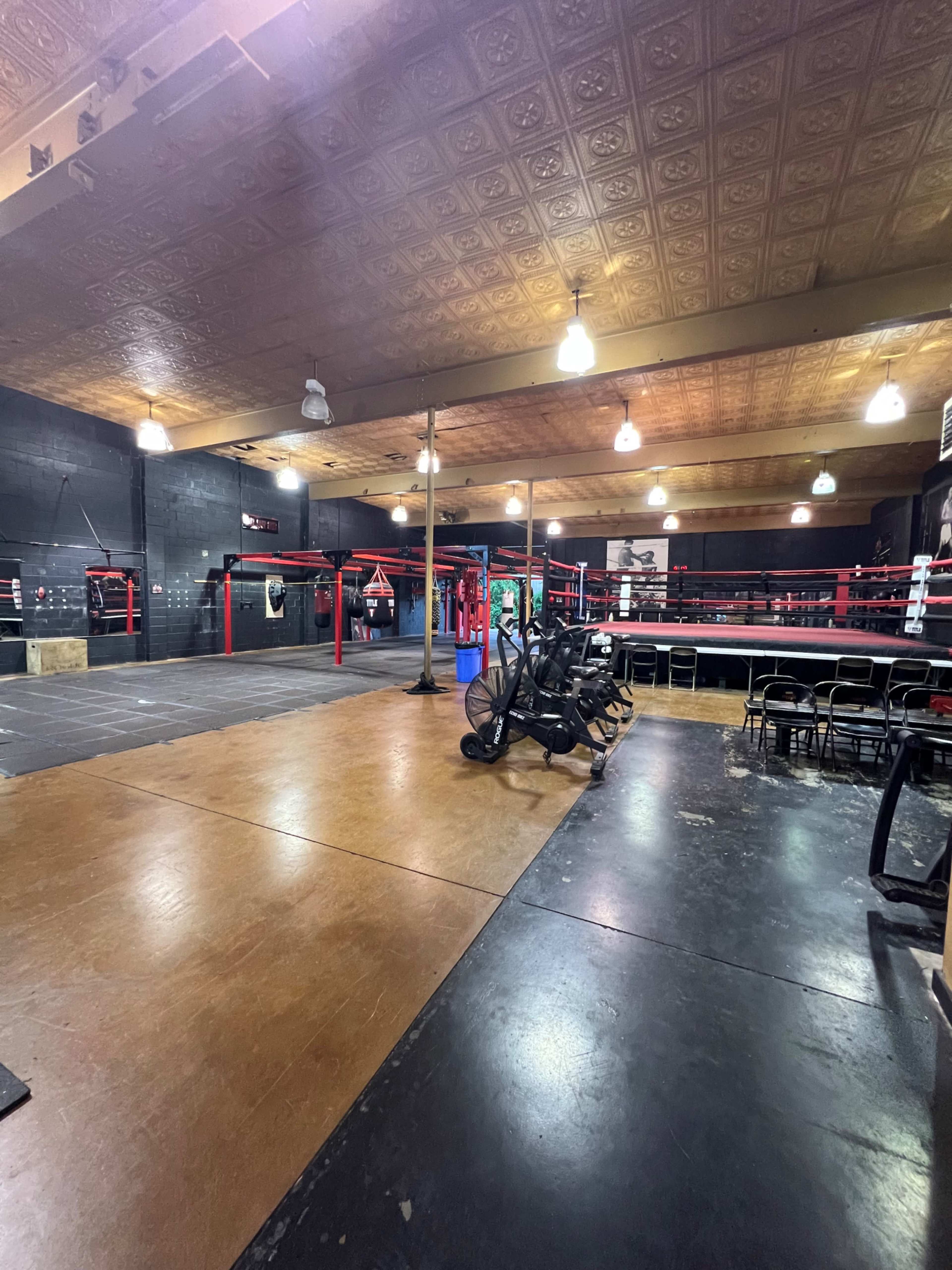 The image shows a spacious boxing gym with red boxing rings, training equipment, and exercise areas under a decorative ceiling.