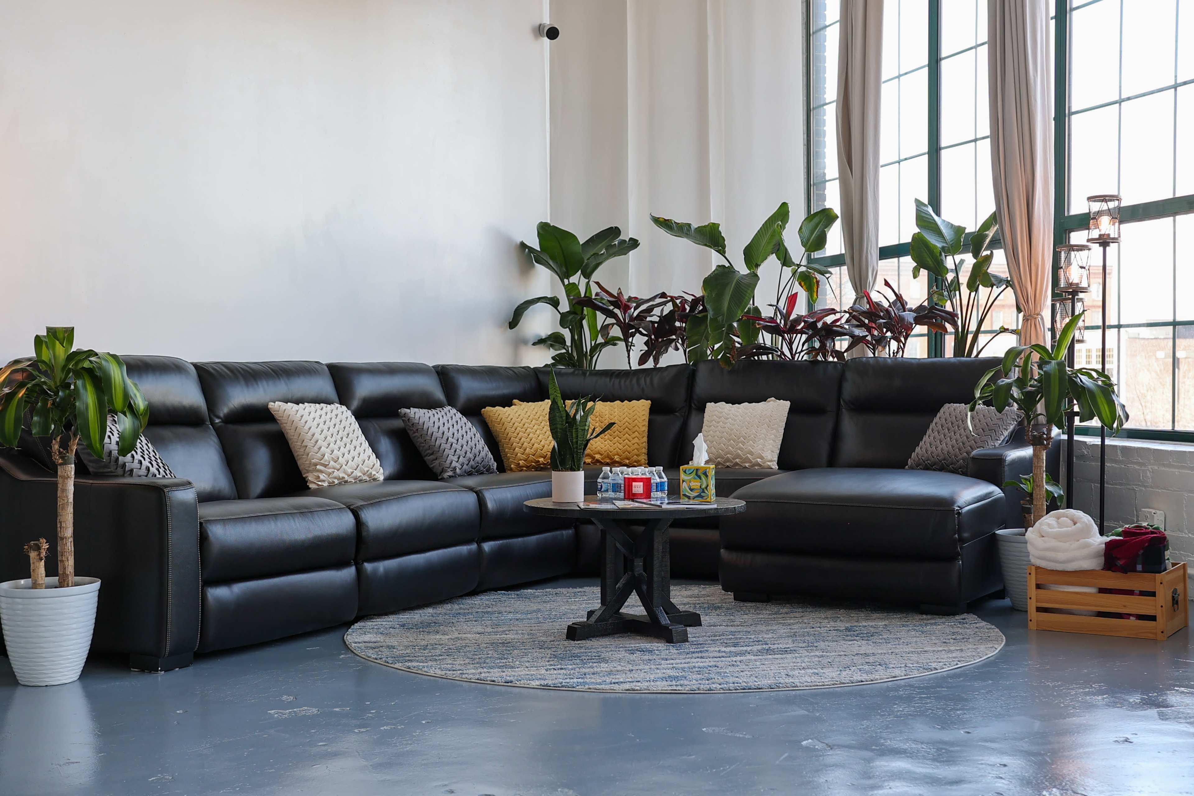 The image features a modern living room with a black sectional couch, a round coffee table, and large windows filled with indoor plants.