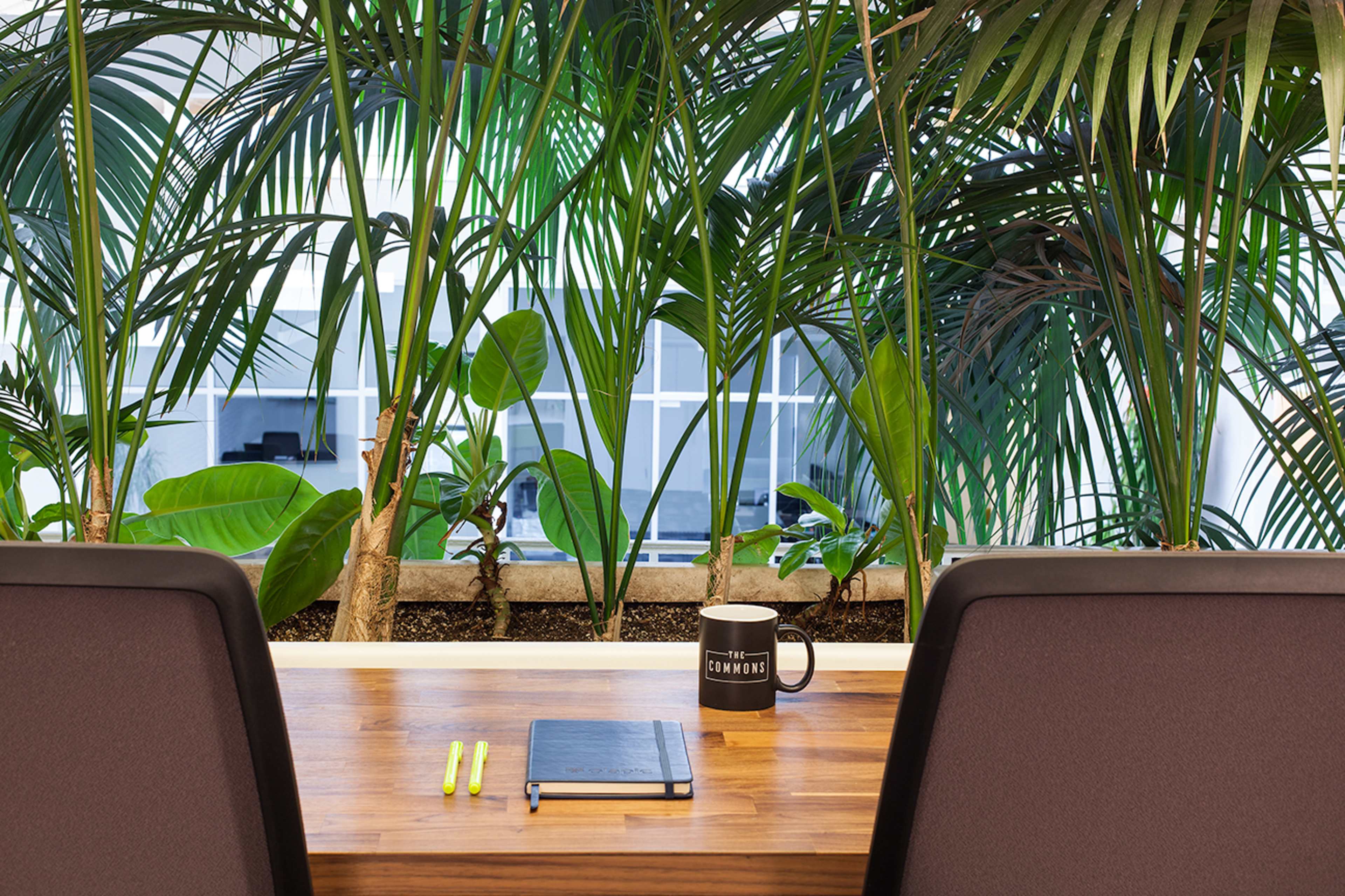 A wooden desk with a notebook and highlighters is positioned in front of large indoor plants, with a coffee mug nearby and windows in the background.