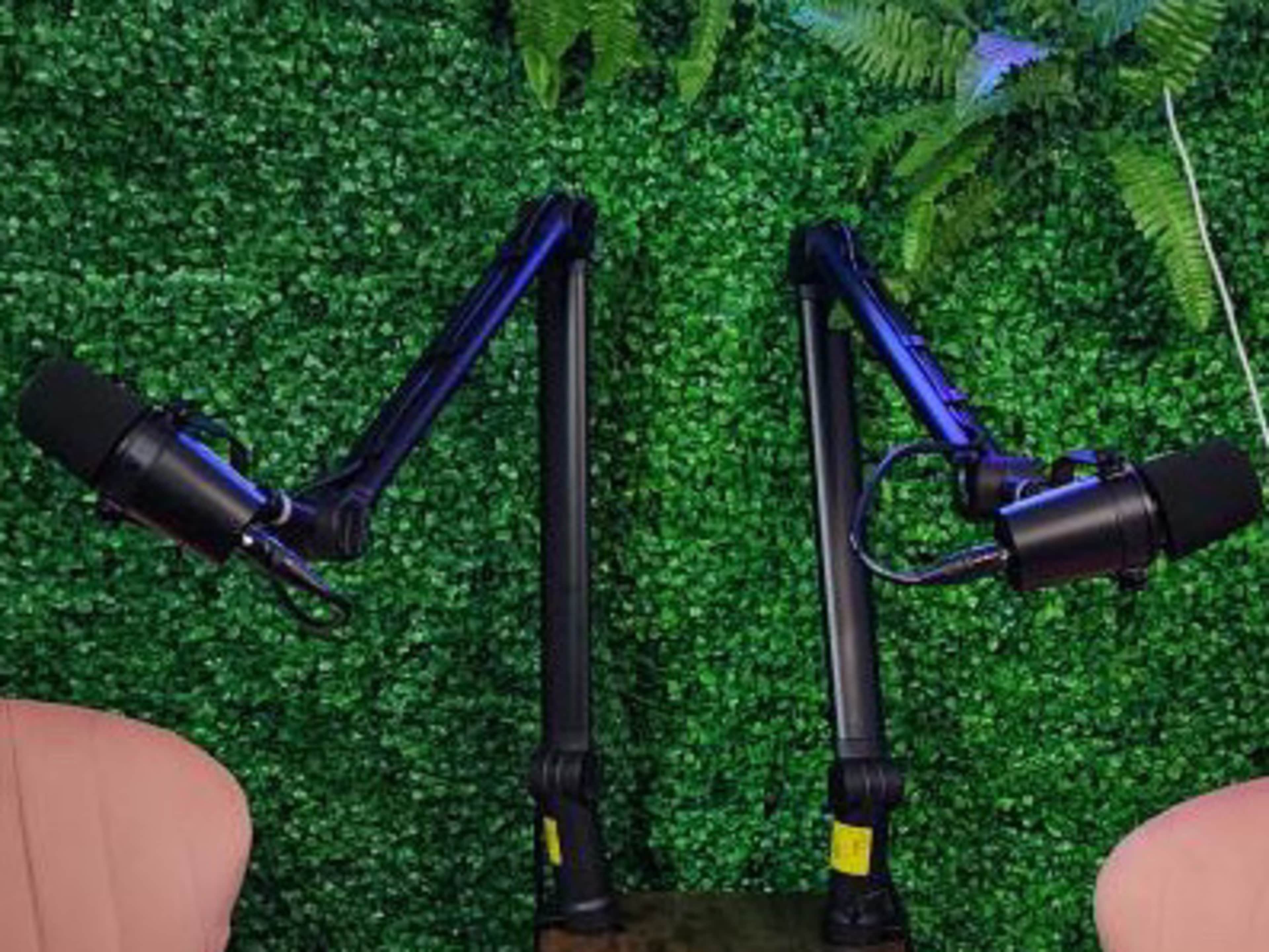 Additional Microphone  and stands