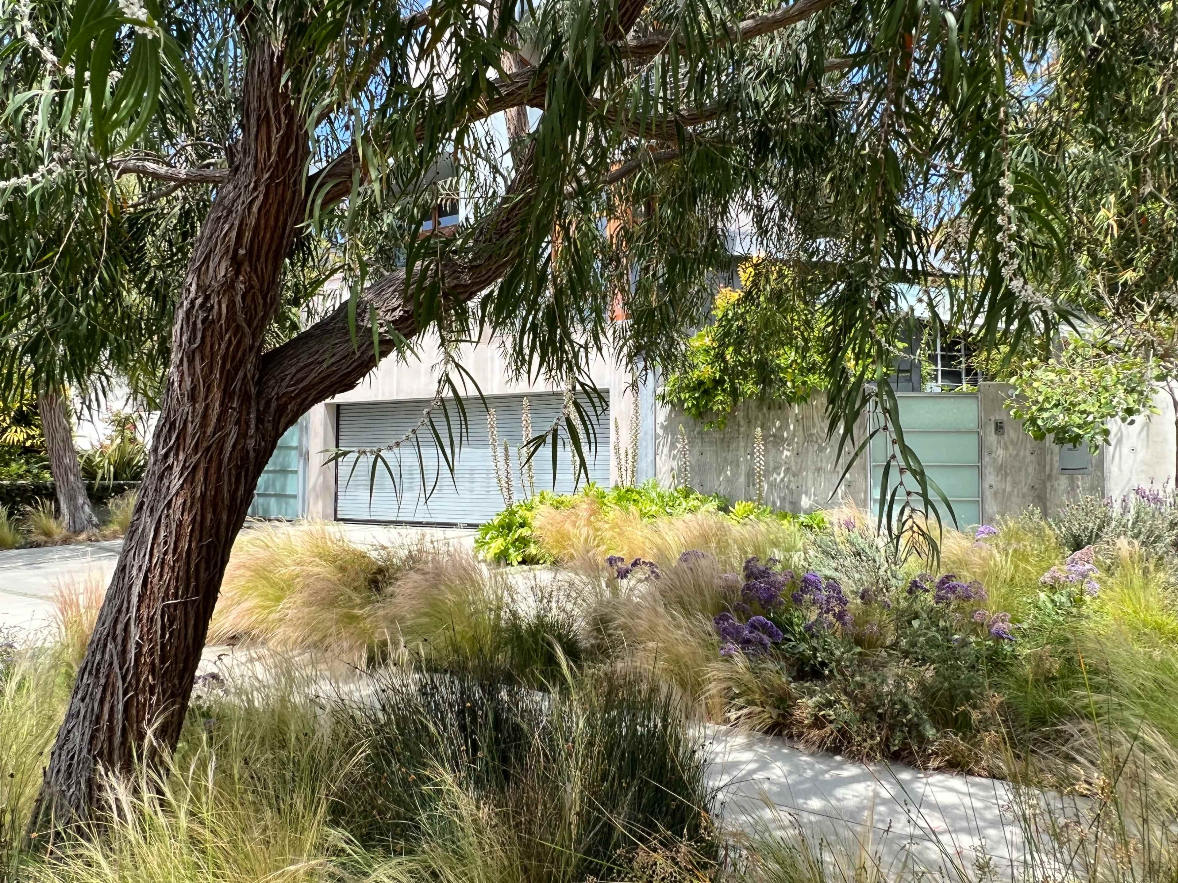 The image shows a modern house partially obscured by lush greenery and colorful flowers, with a rolled-up garage door visible.
