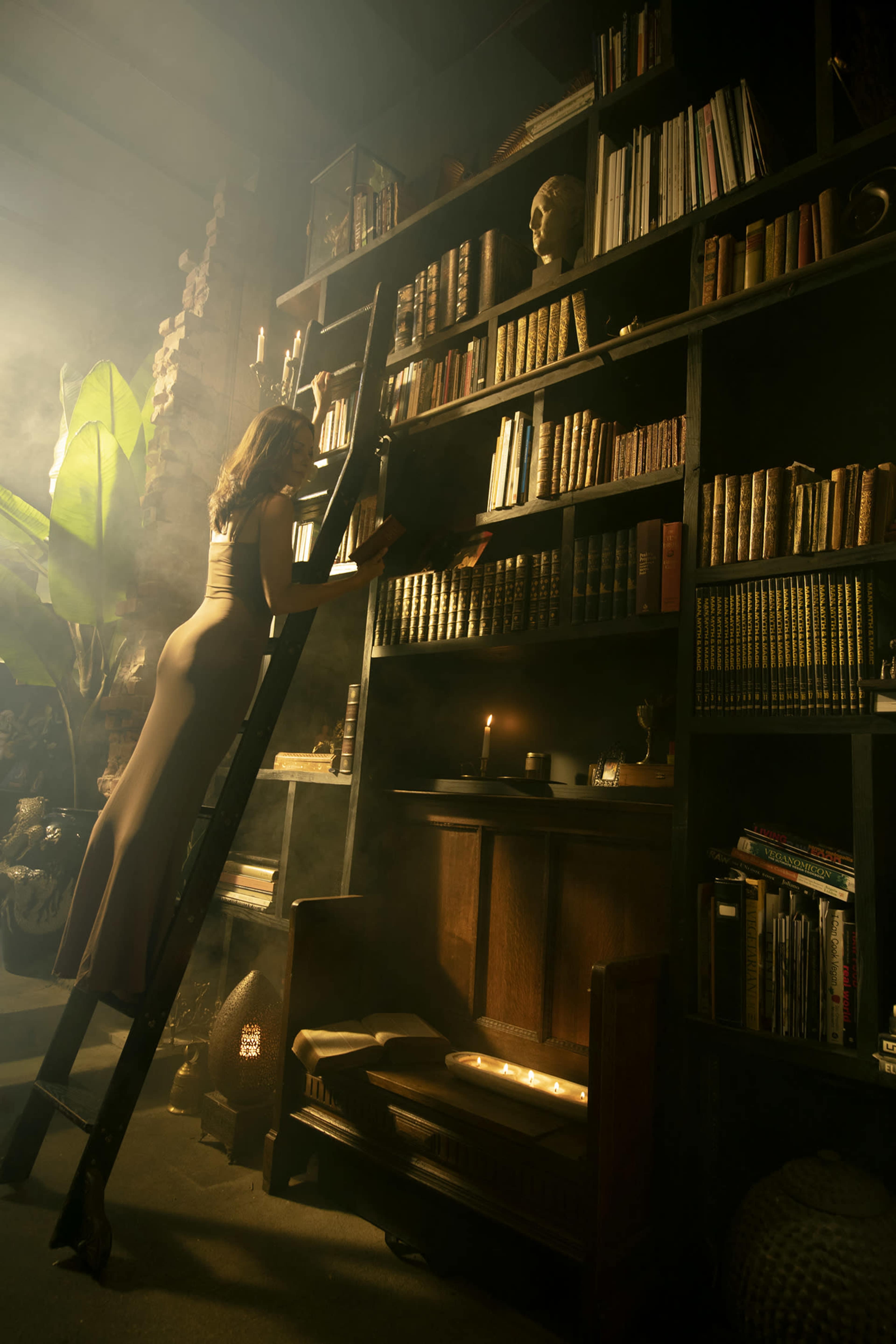 A woman in a fitted dress climbs a ladder to reach books on a tall, dark bookshelf surrounded by soft lighting and a smoky atmosphere.