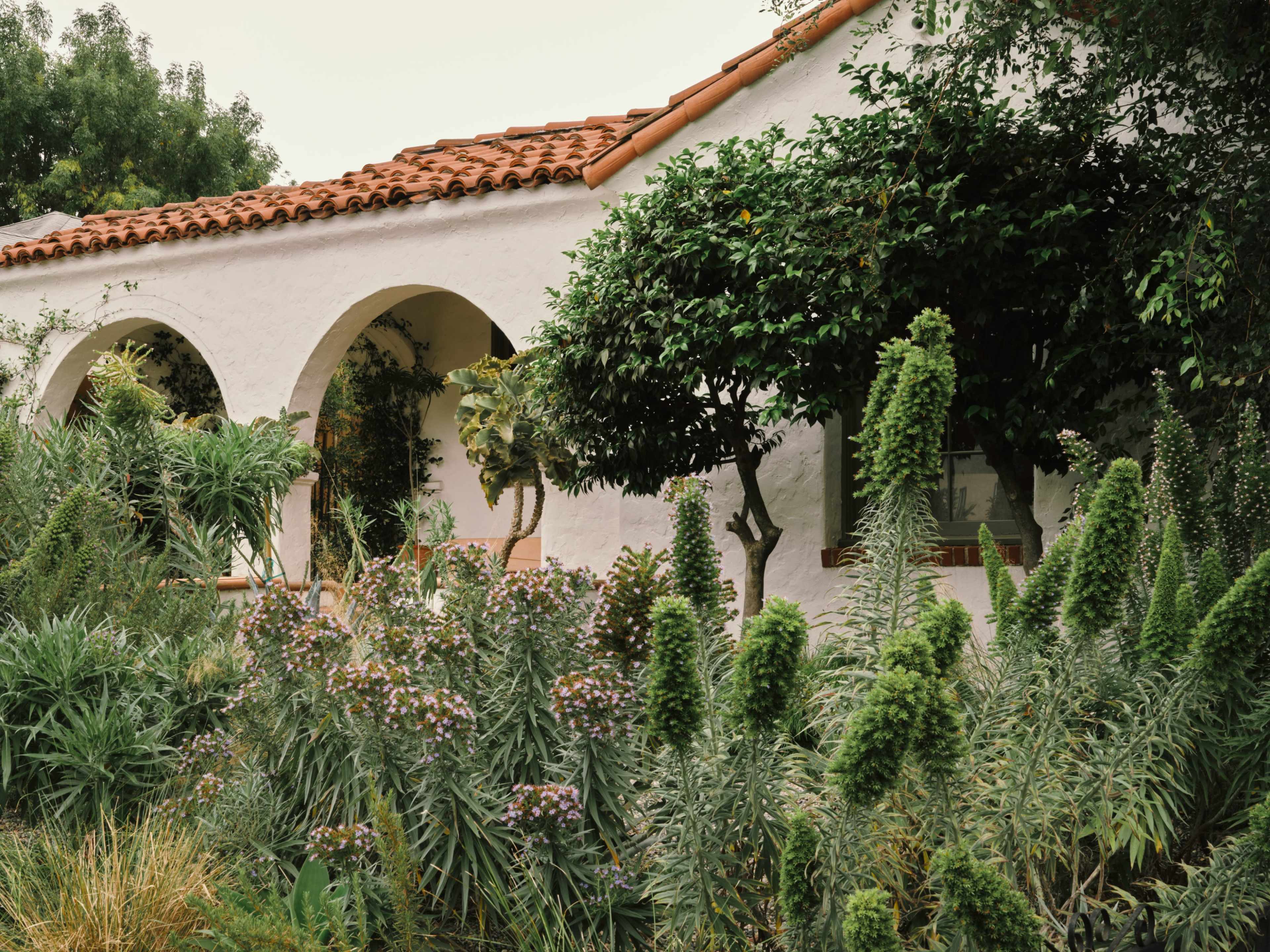 A white, stucco building with arched windows is surrounded by lush greenery and colorful plants.