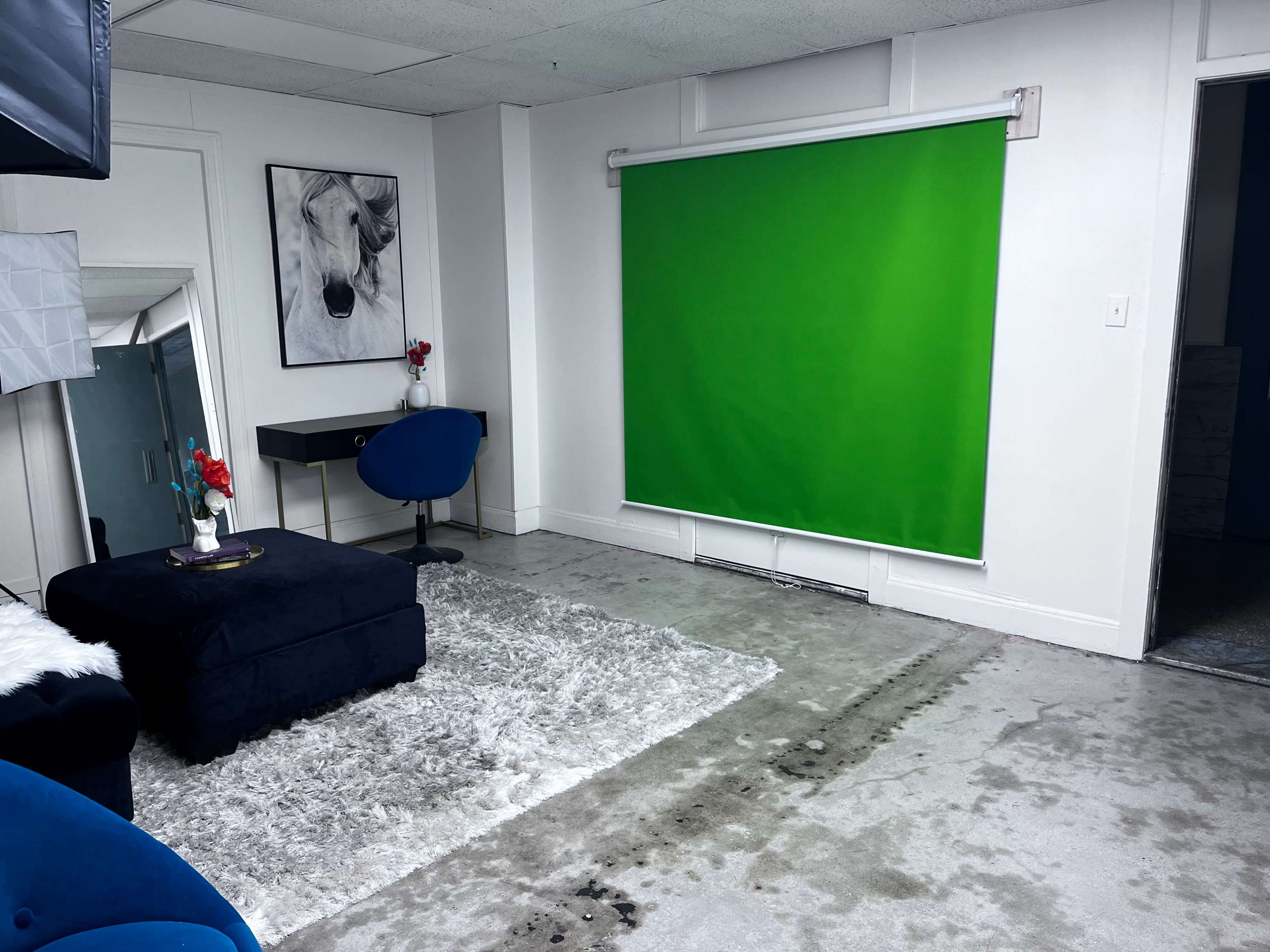 A minimalist room featuring a green backdrop on one wall, a dark blue velvet sofa, a small table with a vase of red flowers, and a light-colored rug on a concrete floor.