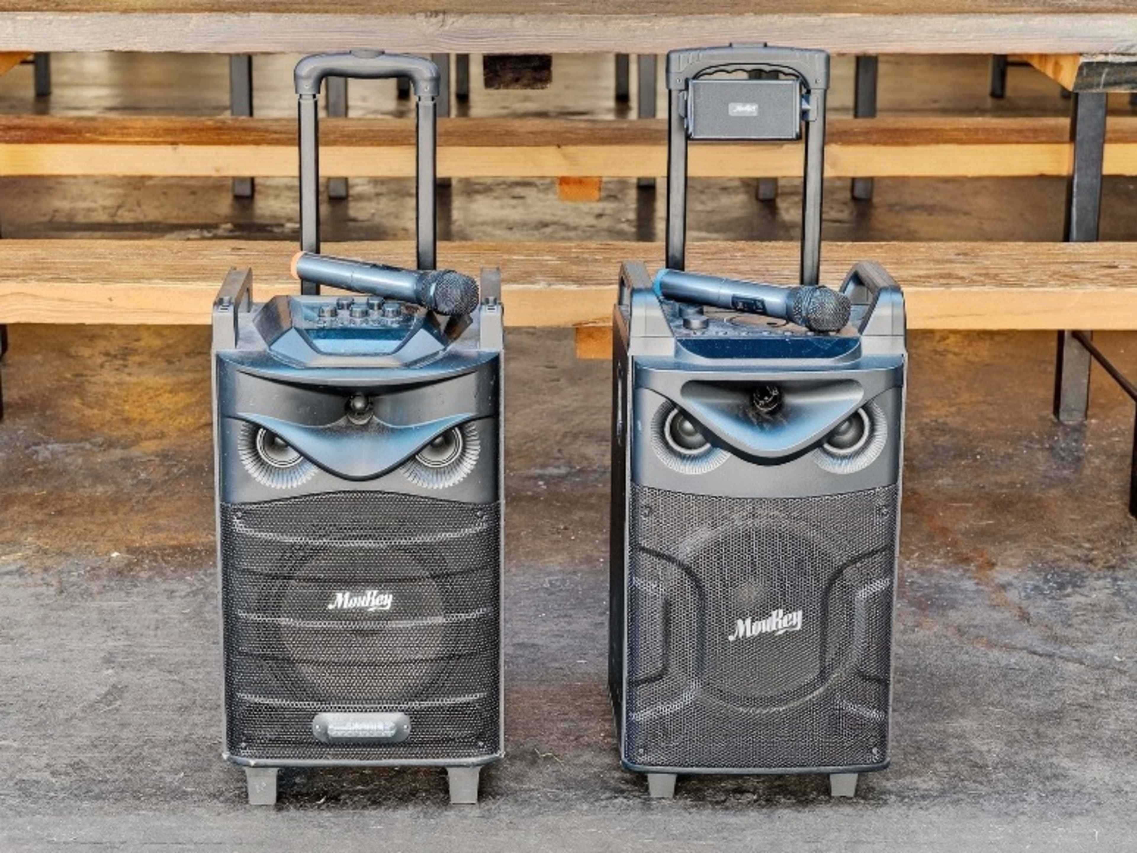 Portable PA system with Mic