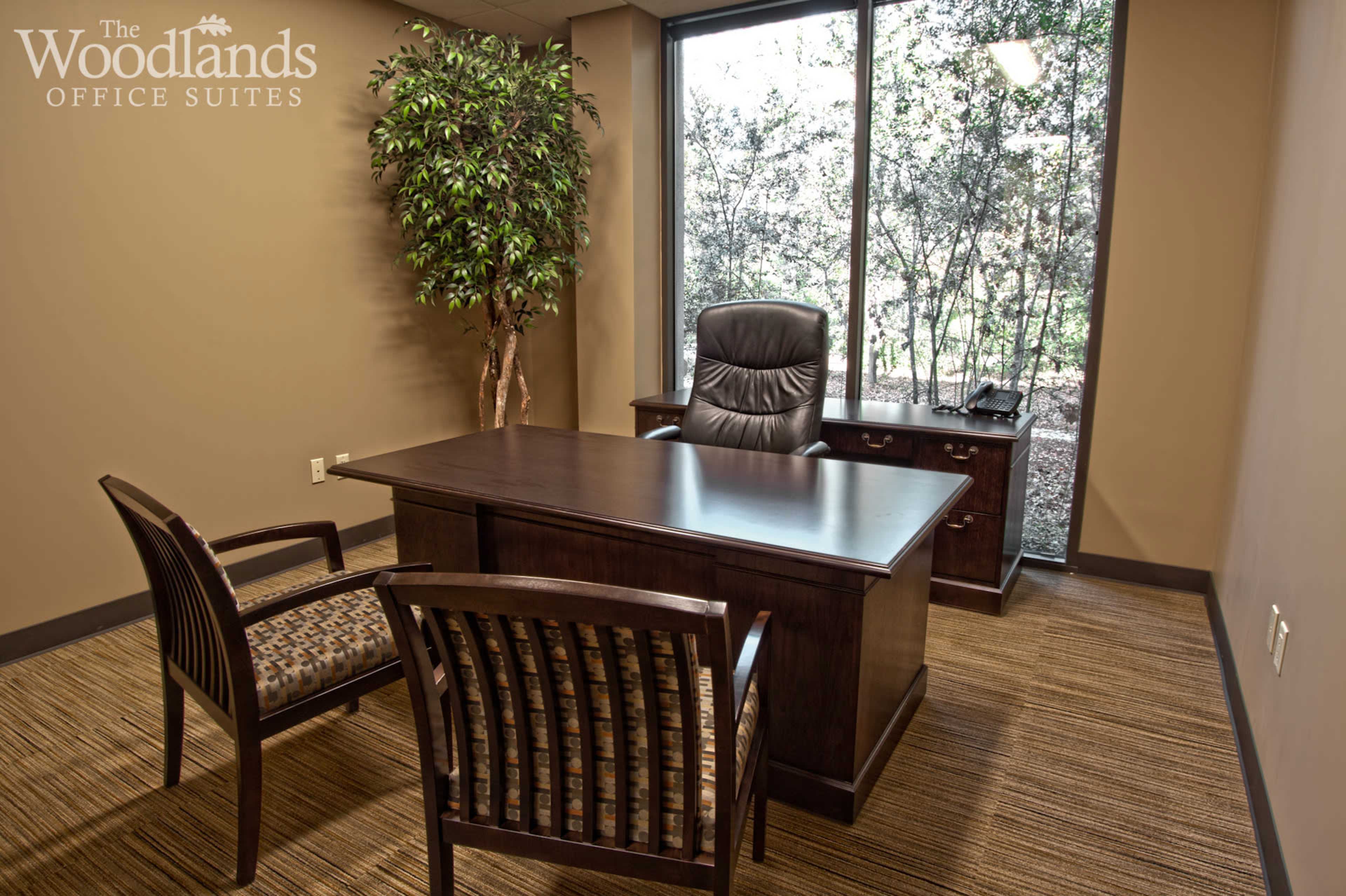 Spacious Meeting Room Image in Town Center, The Woodlands, TX